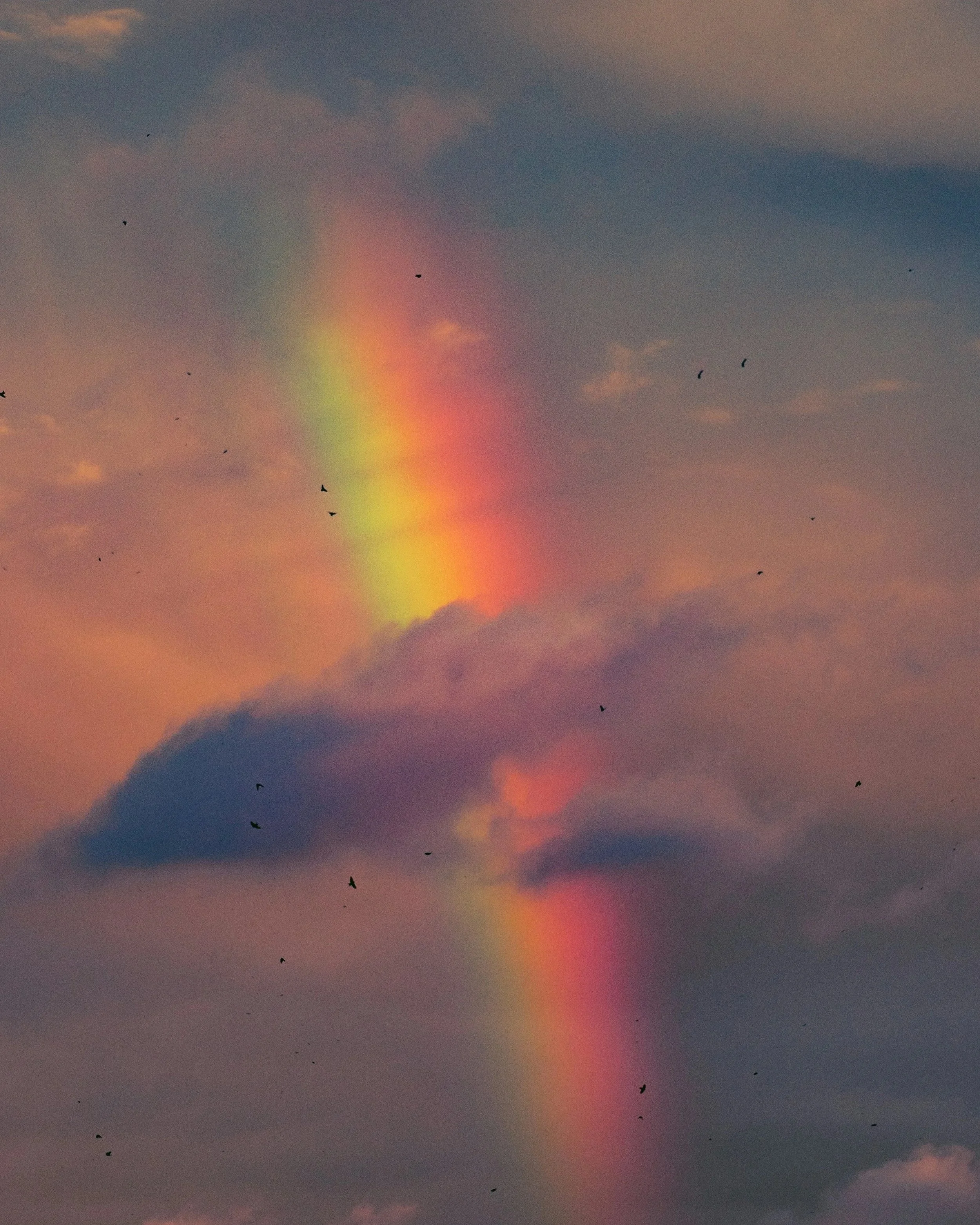 The Rainbow Does Belong Over Pride Month