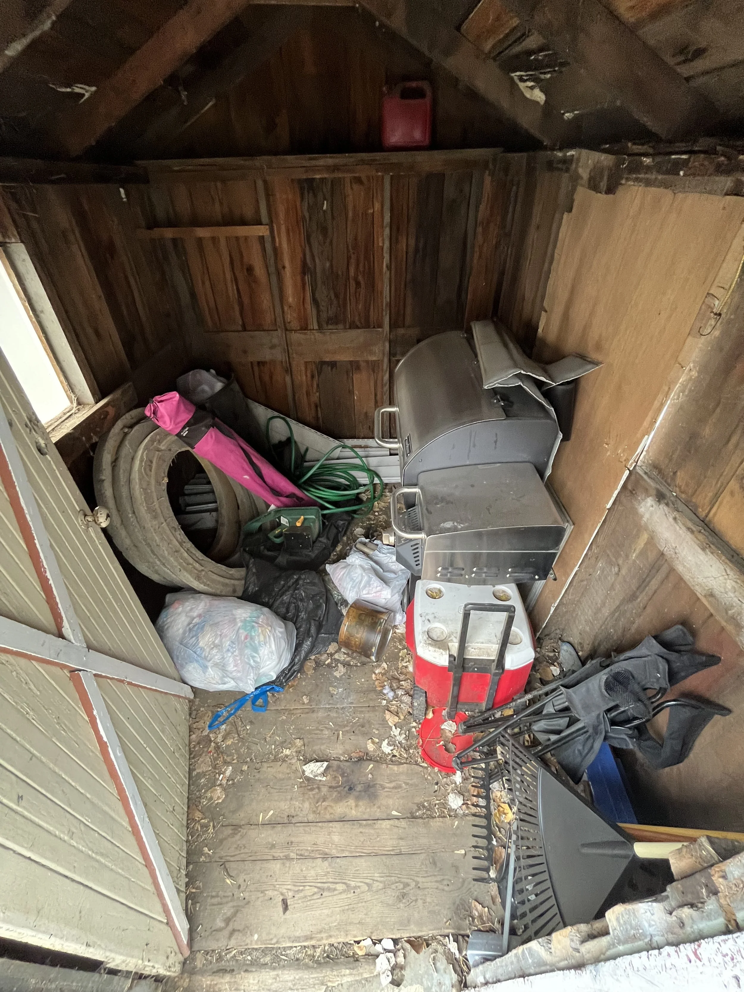 A cluttered storage shed with wood walls and floor, containing a gas grill, a cooler, a golf club bag, a garden hose, a tire, trash bags, and various gardening tools.