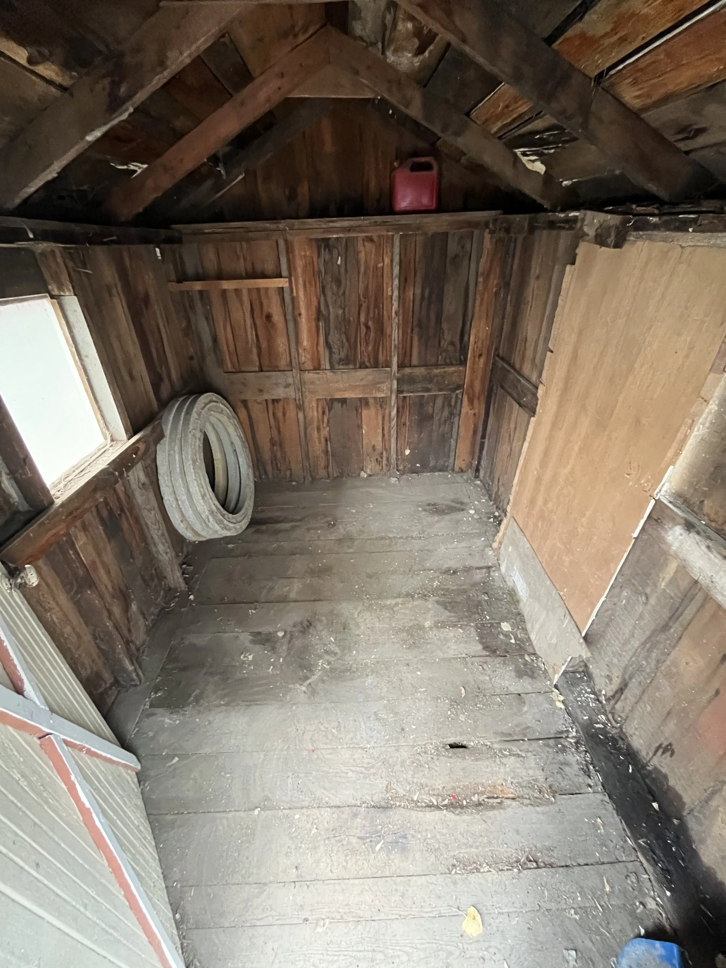 Empty wooden shed interior with exposed wood walls and ceiling, two small windows, a coiled rubber hose on the left wall, and a red gas can on top of the wall at the back.