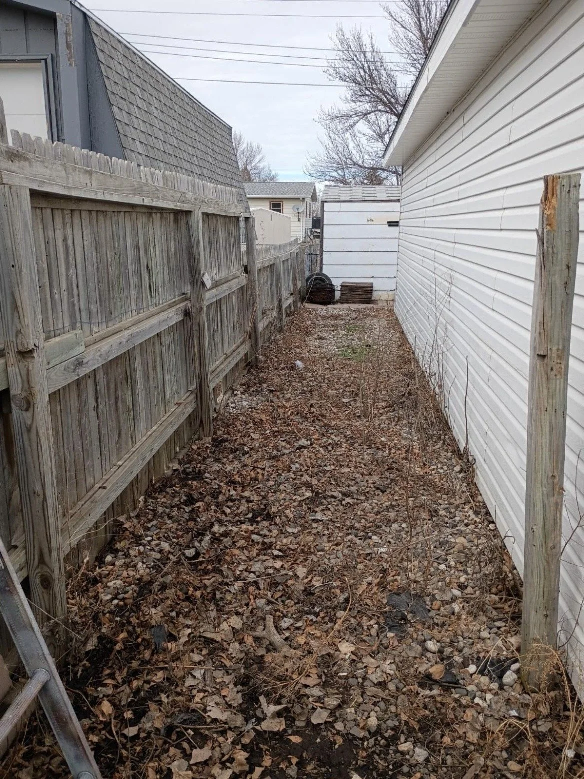 Unkempt backyard with fallen leaves, weeds, and a dirt pathway, enclosed by a weathered wooden fence on the left and a white vinyl-sided house on the right, with a shed in the distance.