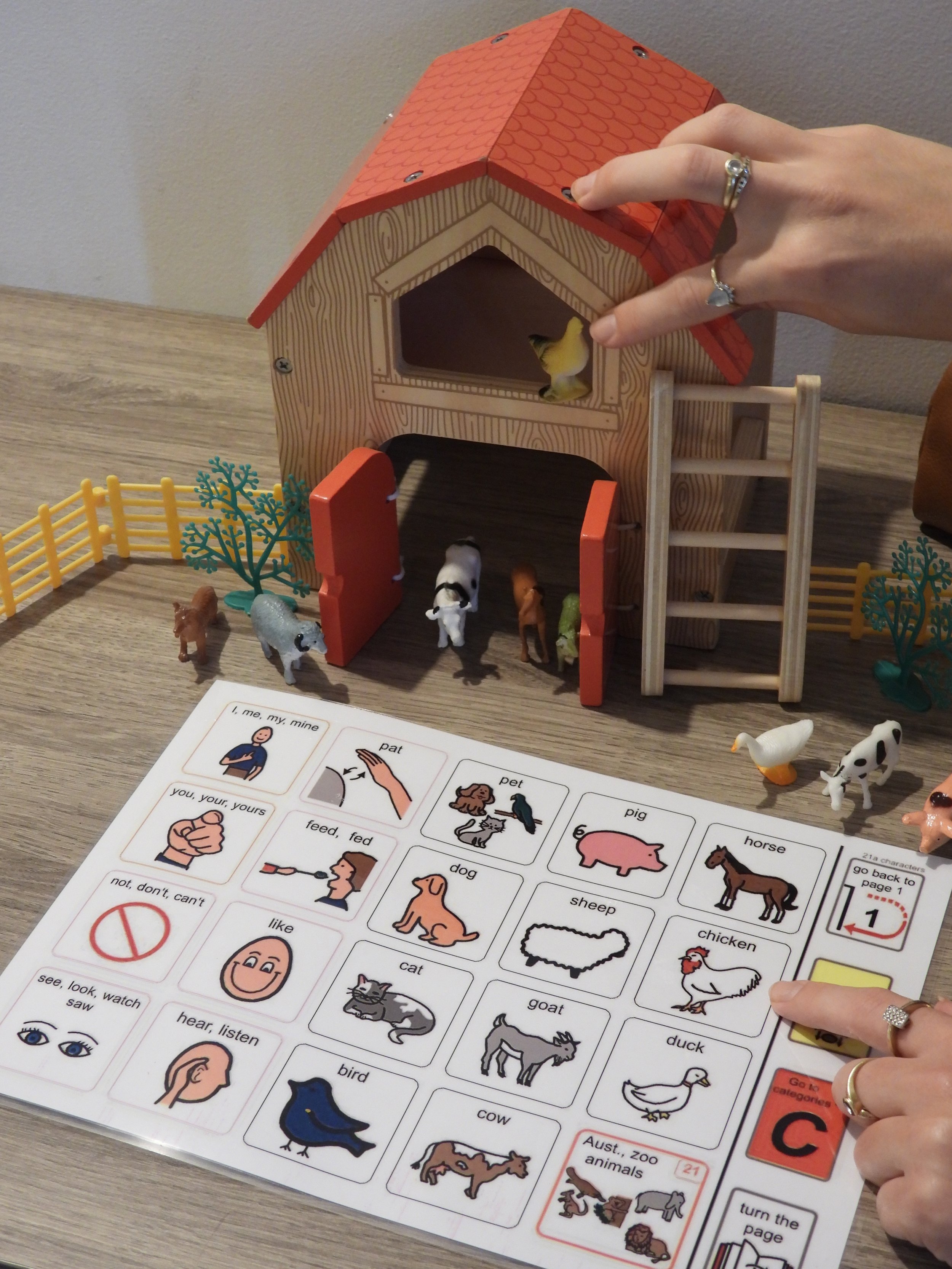 Augmentative and Alternative Communication (AAC)