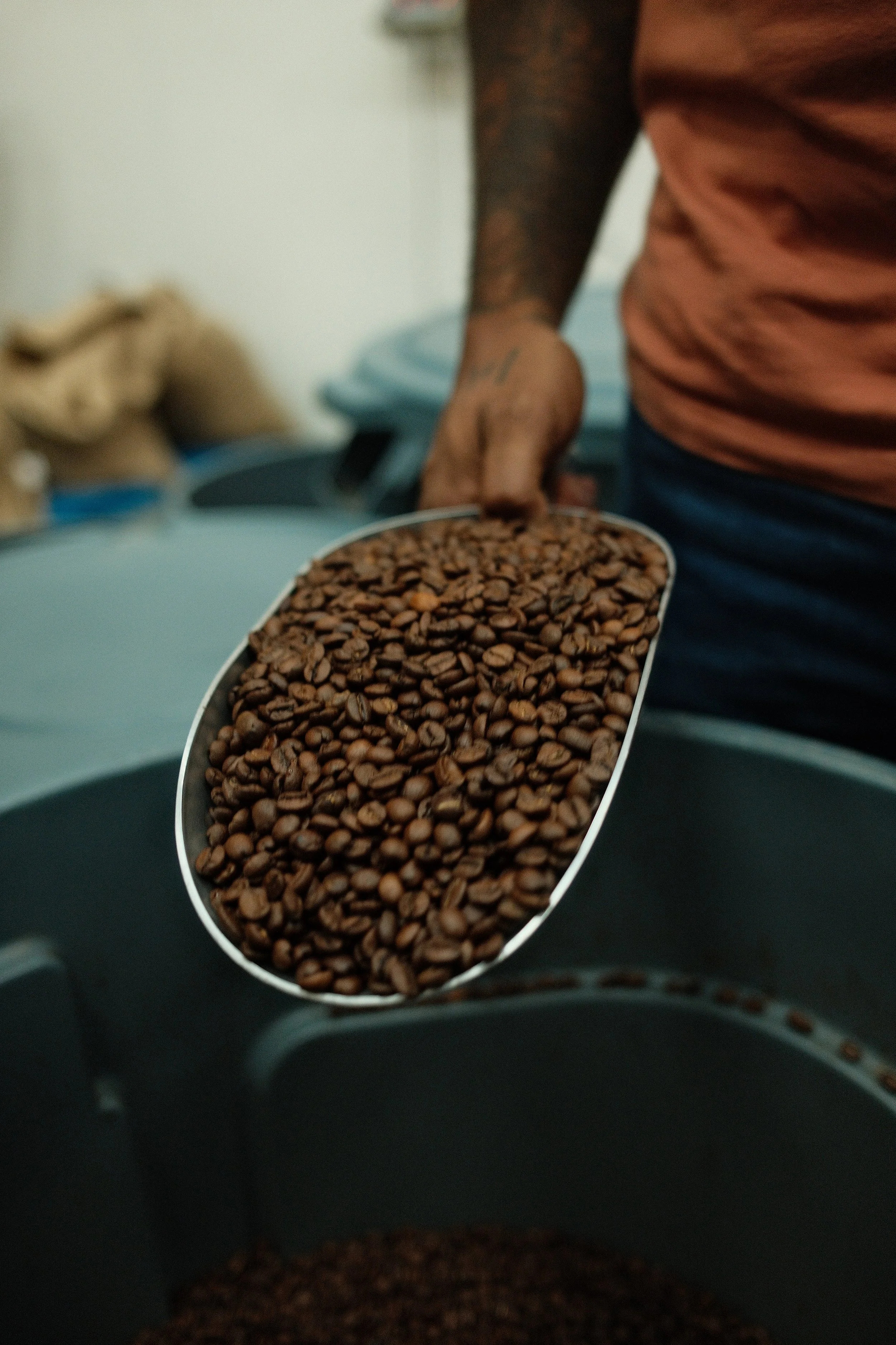 El Monito Cafe | Poinciana Blend | 12oz Whole Bean