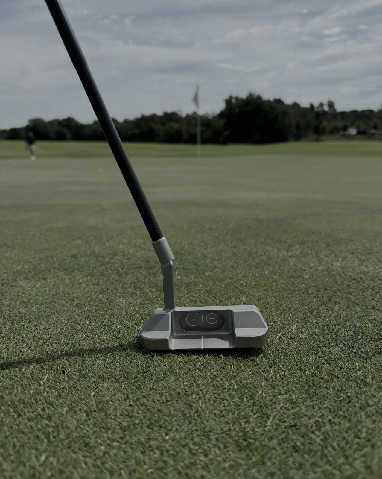 gg-g05p-on-green-flag-graded.jpg