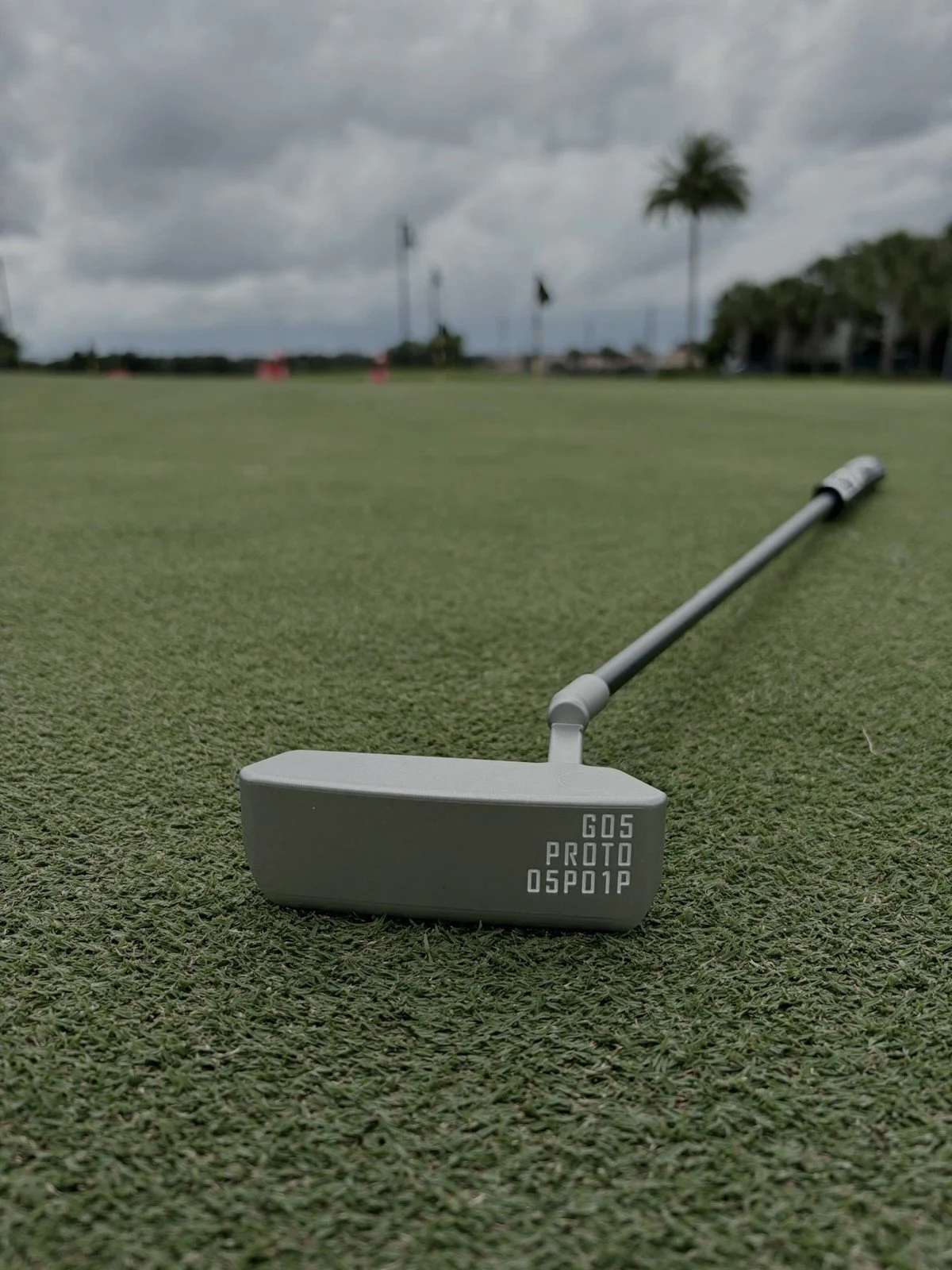 gg-g05p-on-turf-palms-graded.jpg