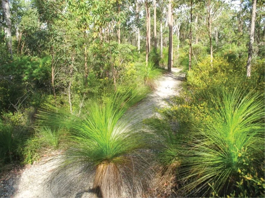 Concept Design Package