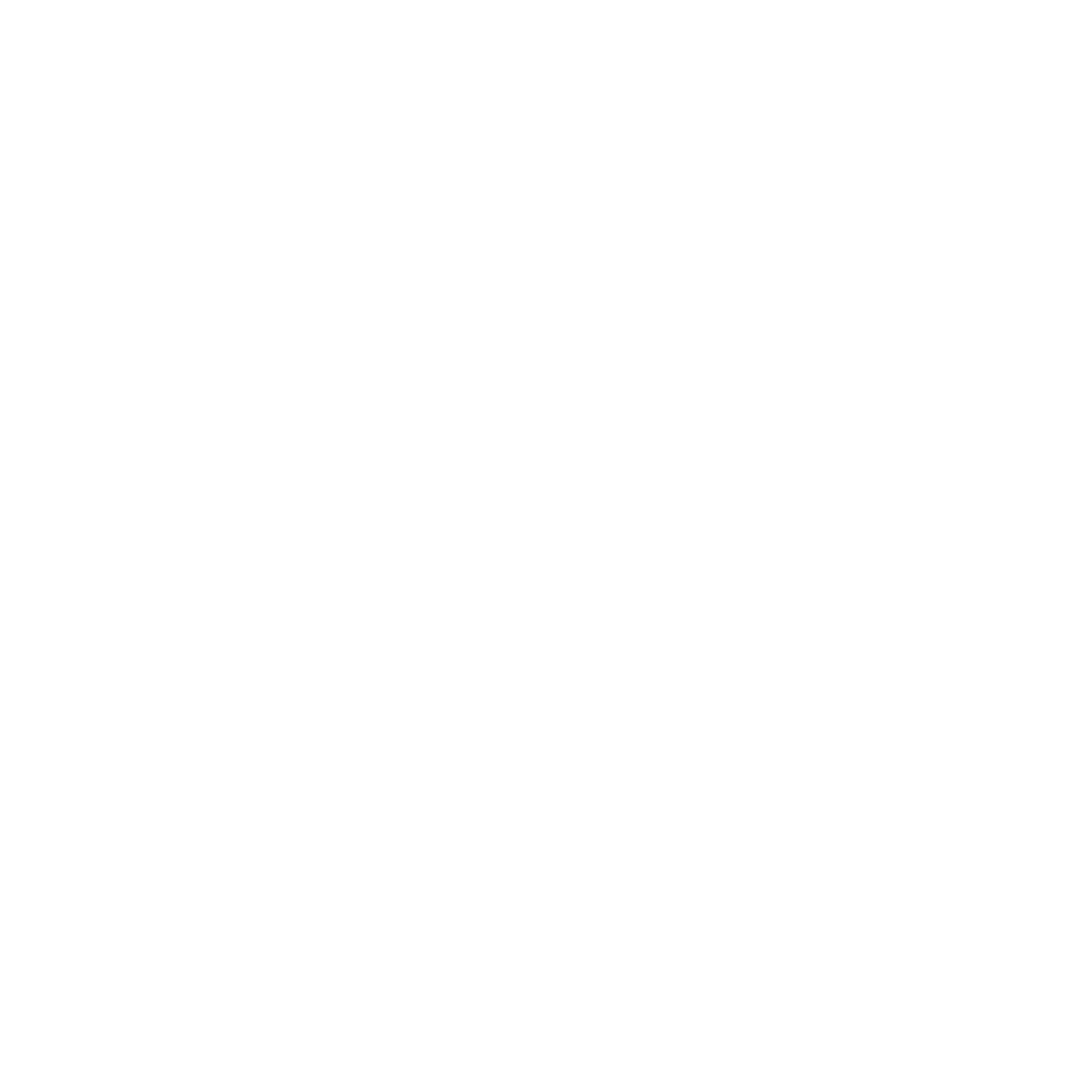 Sb_Custom_ Fitness_Mel_Consulting(4).png