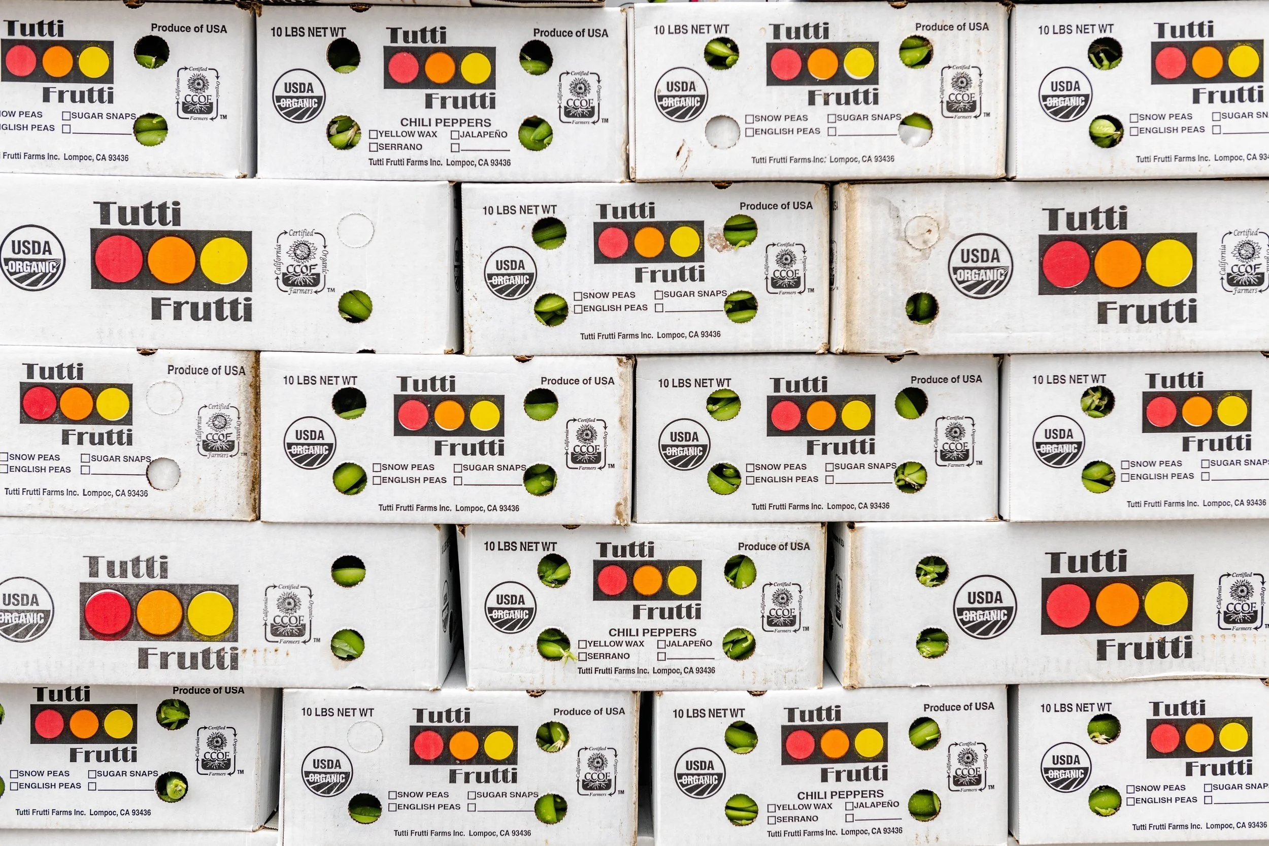 Tutti Frutti Delivery