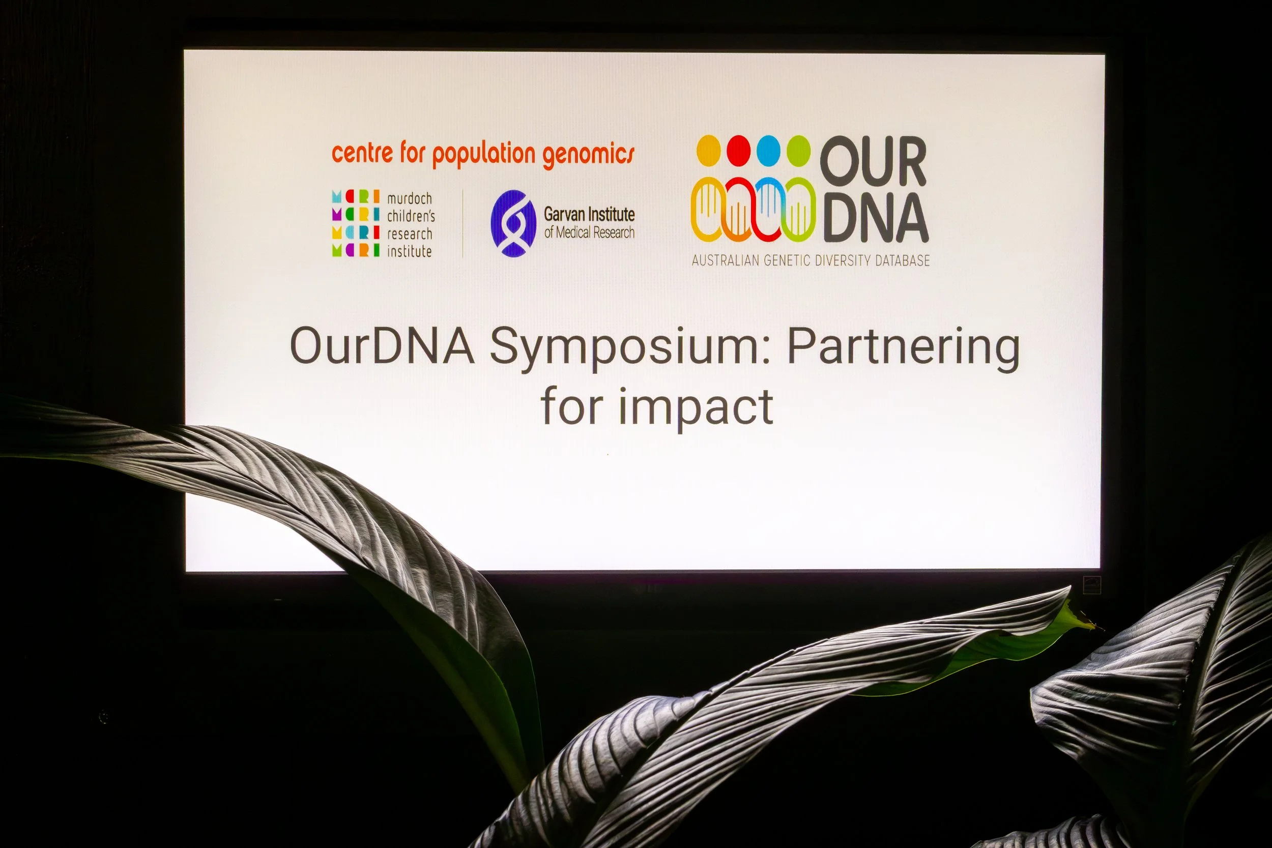 Display screen showing the title 'OurDNA Symposium: Partnering for impact' with logos of research organizations and green plant leaves in the foreground.