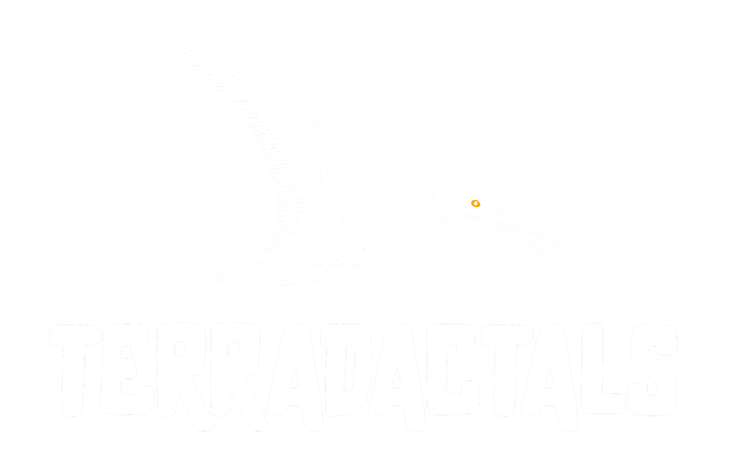 A stylized drawing of a pterosaur with a long beak flying above the text 'TERRADACTALS' on a black background.