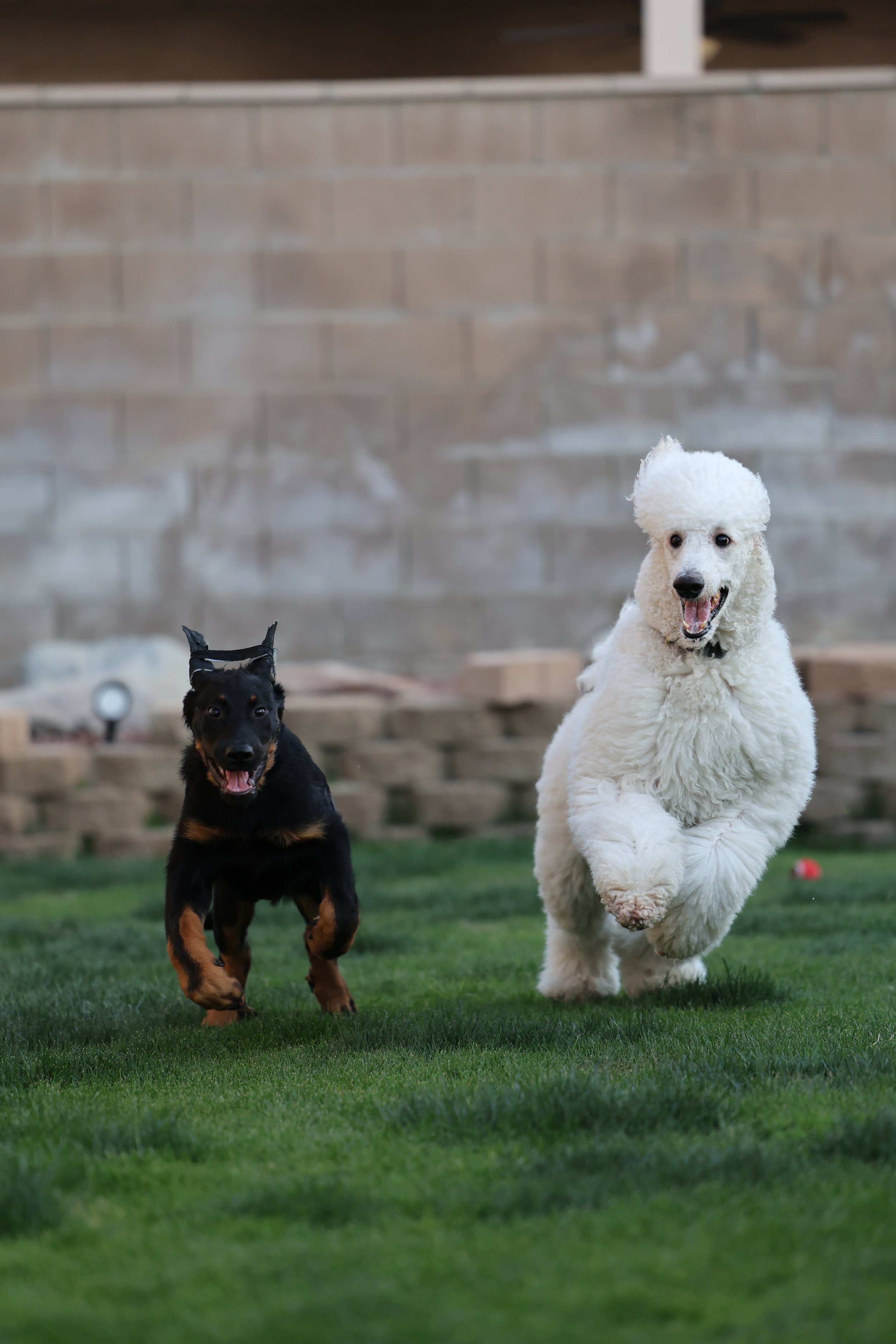 All things Socialization