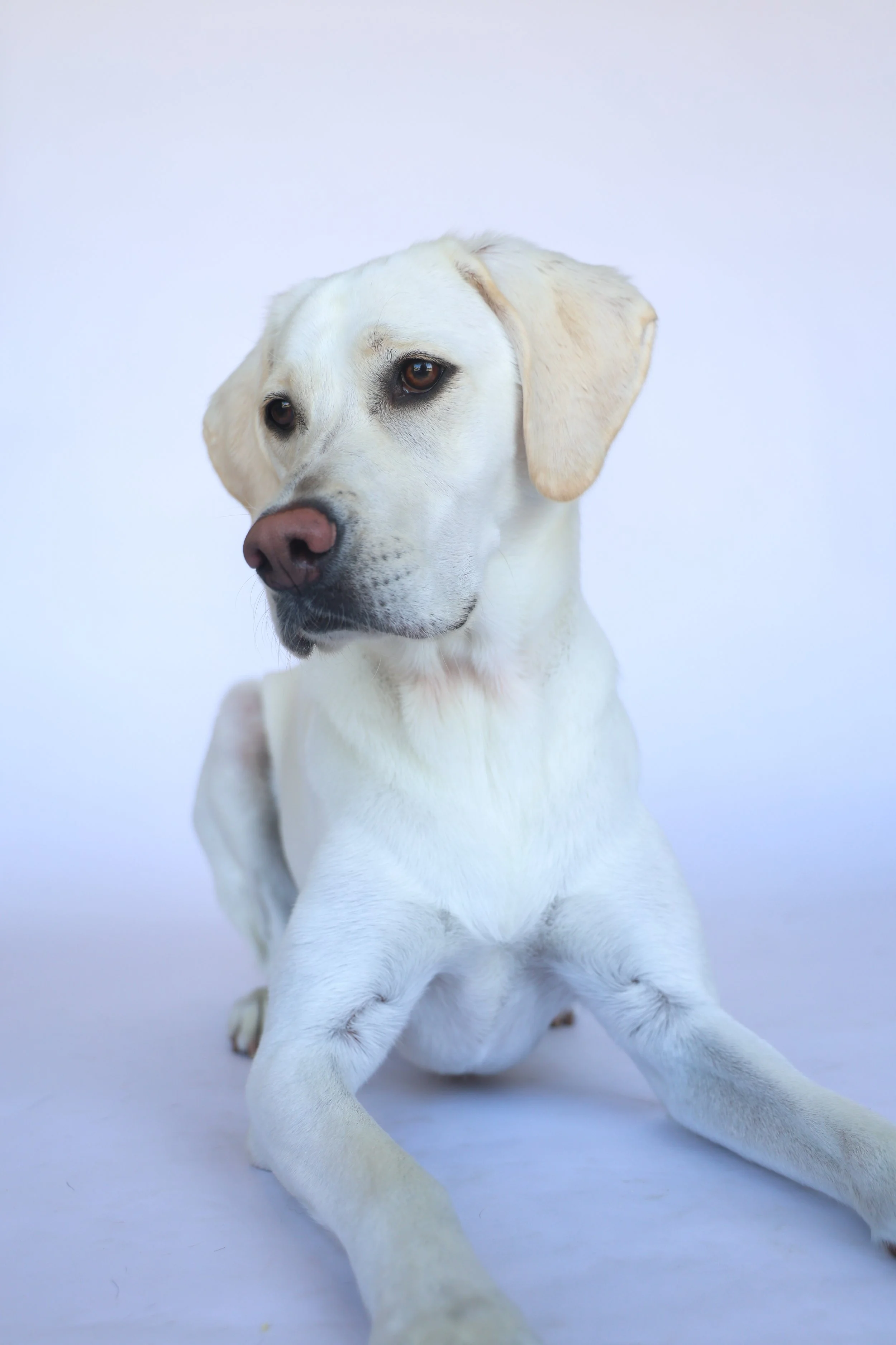 Portrait Photoshoot in La Quinta CA