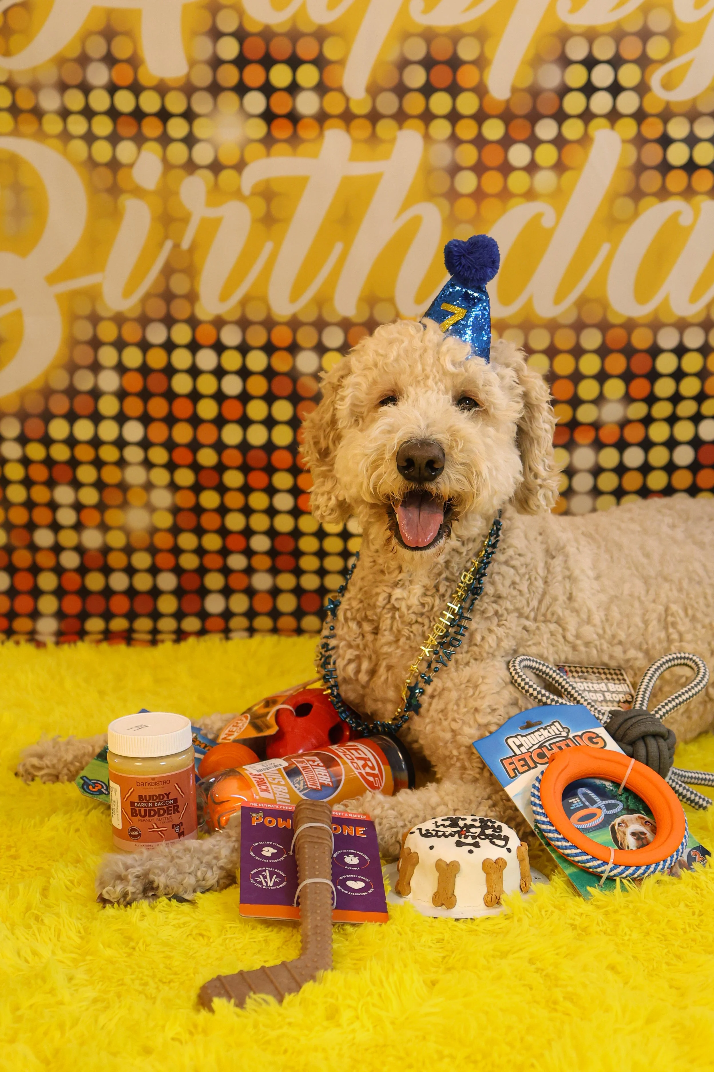 Birthday Shoots