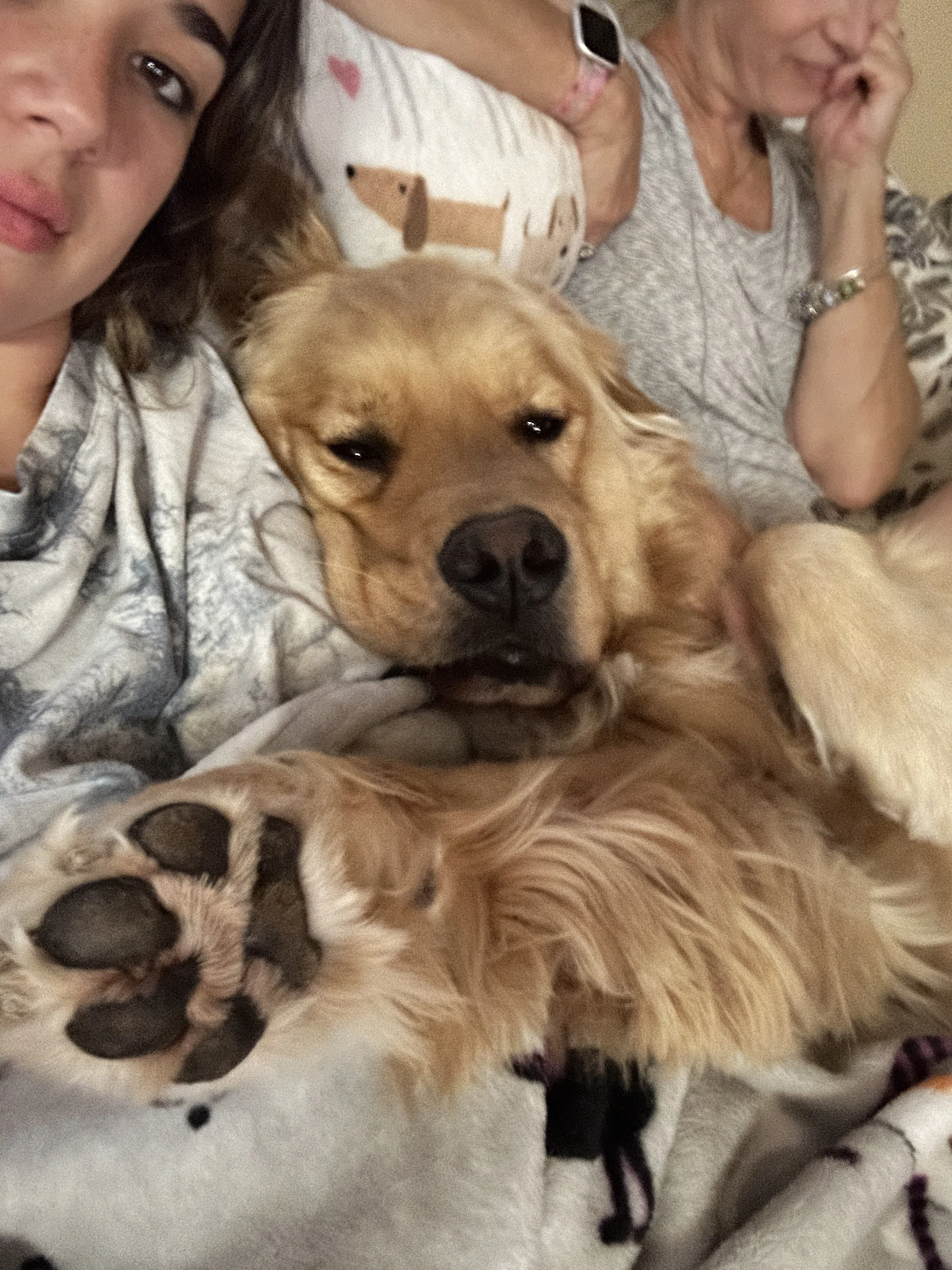 A woman and a young girl taking a selfie with a golden retriever lying on a couch, surrounded by other people, with a dog paw visible in the foreground -Cuddles