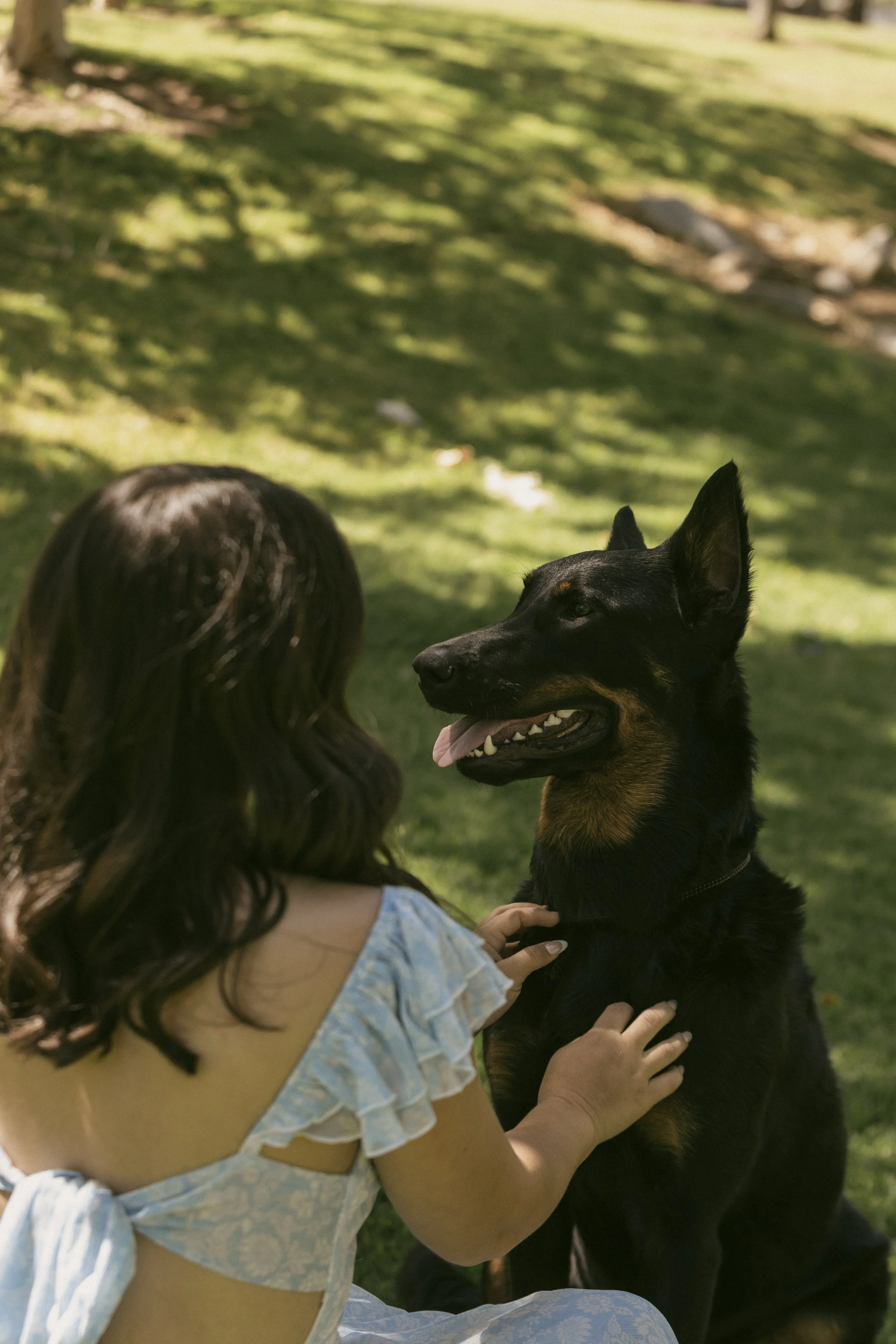 A young girl with long, wavy brown hair sitting outdoors, gently petting a black and tan dog with pointed ears, in a park with green grass and trees.