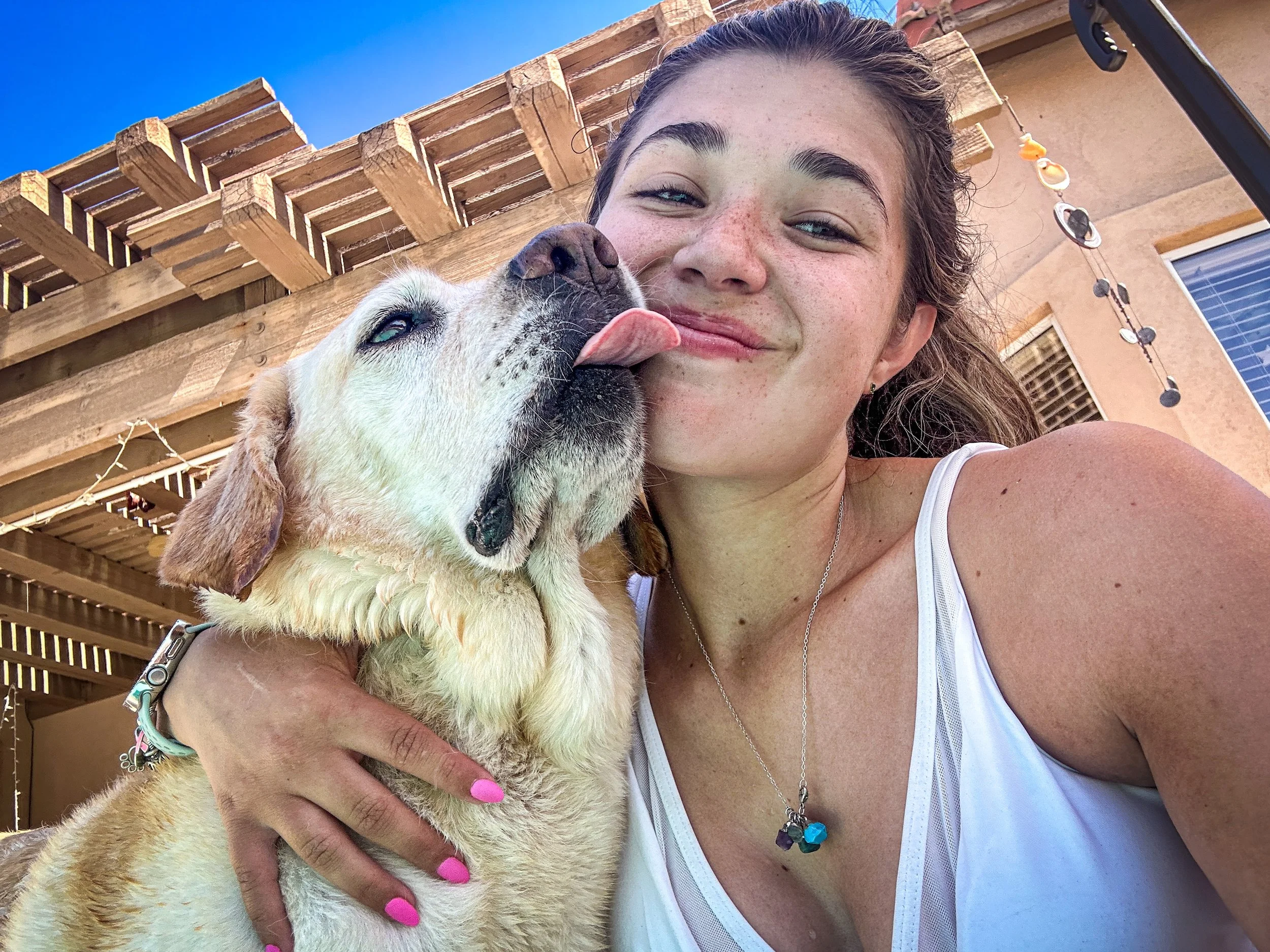 Dog Board & Train in La Quinta CA