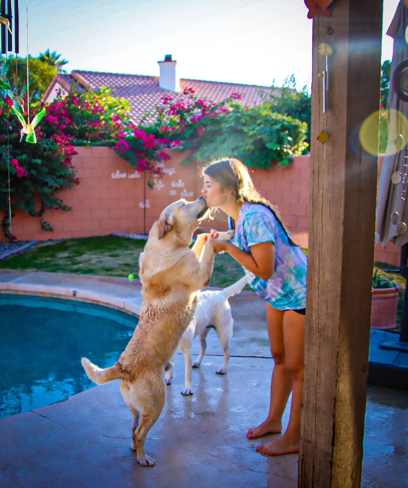 Girl and dog sharing a kiss outside near a swimming pool, with pink flowering bushes and a brick wall in the background.