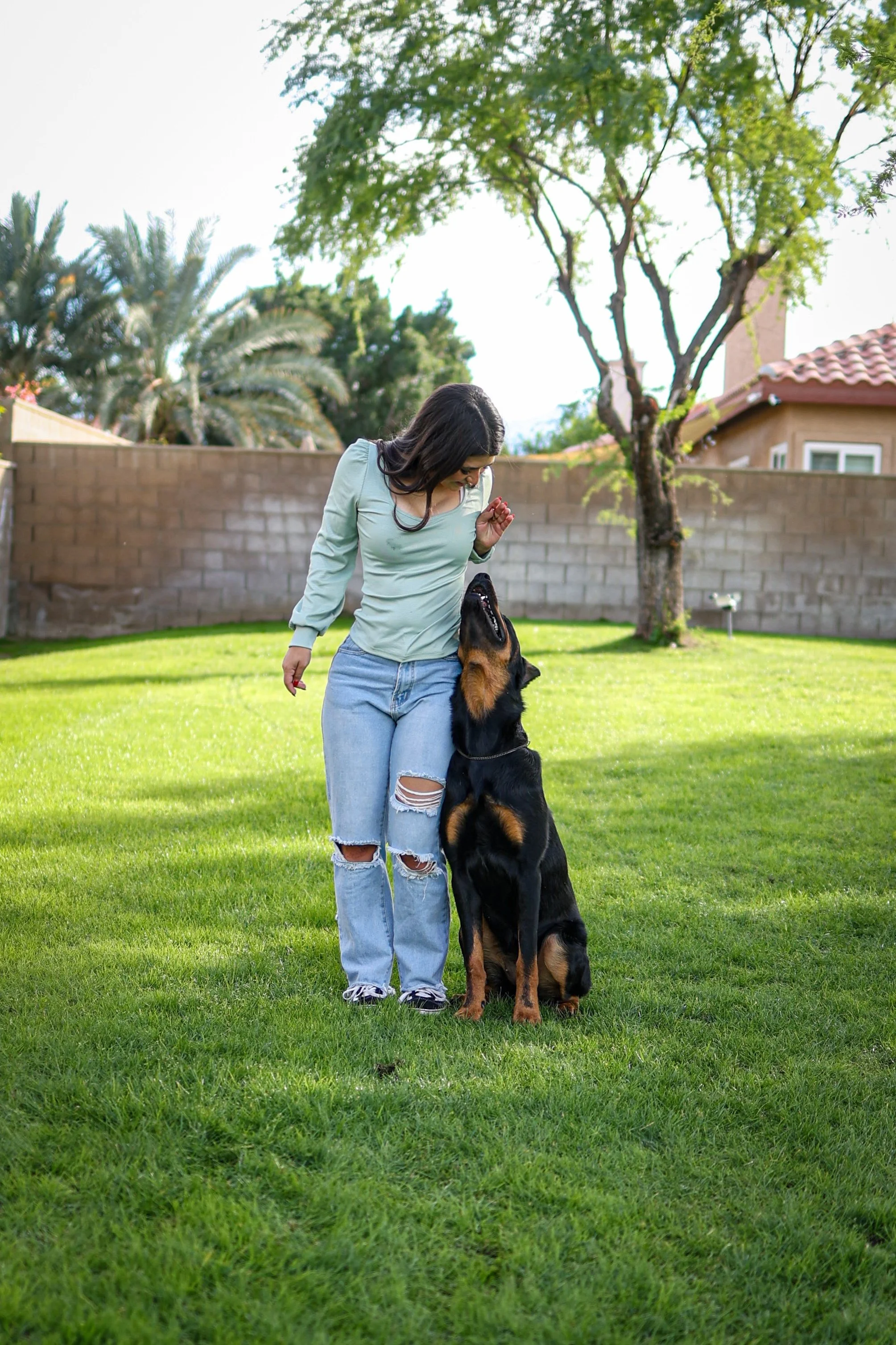 Dog Obedience Heeling Session -Fireheart, La Quinta CA