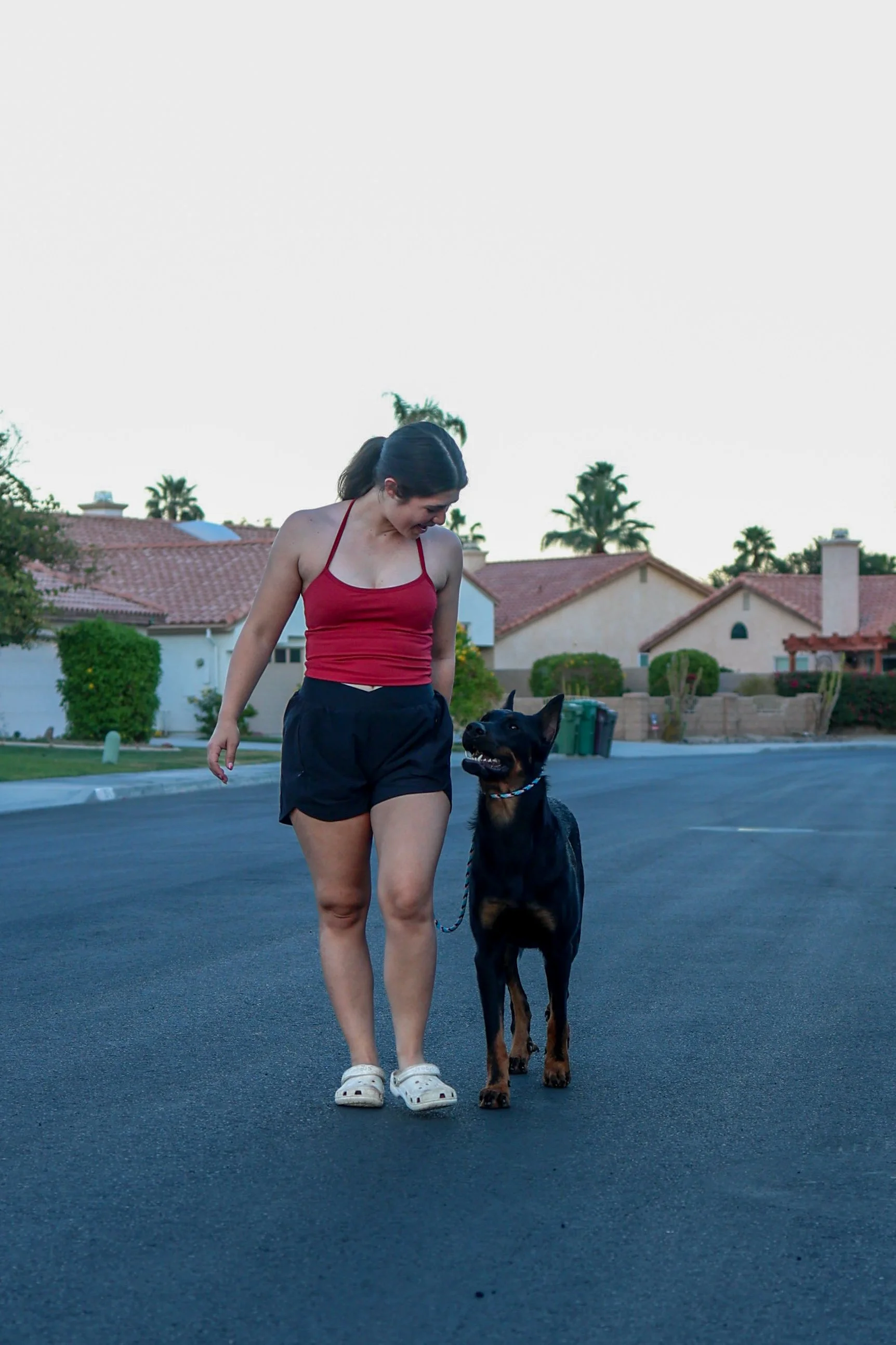 Leash Walking Training, La Quinta CA