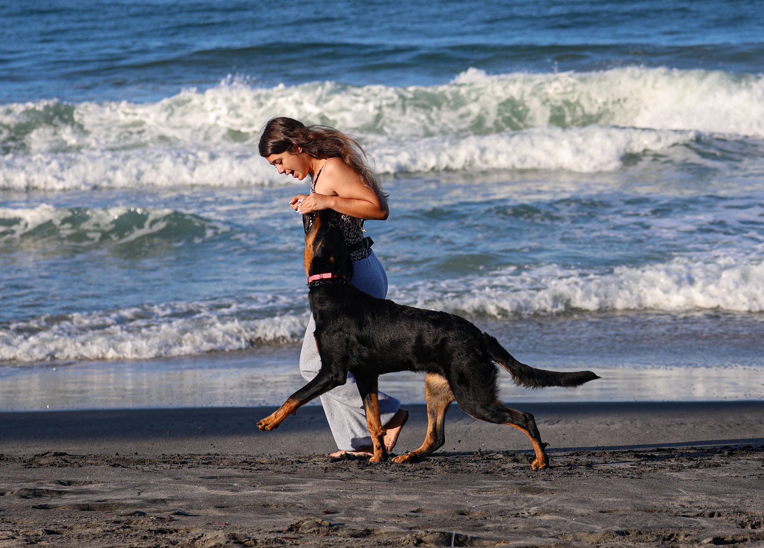 Fireheart training session in Carlsbad, CA