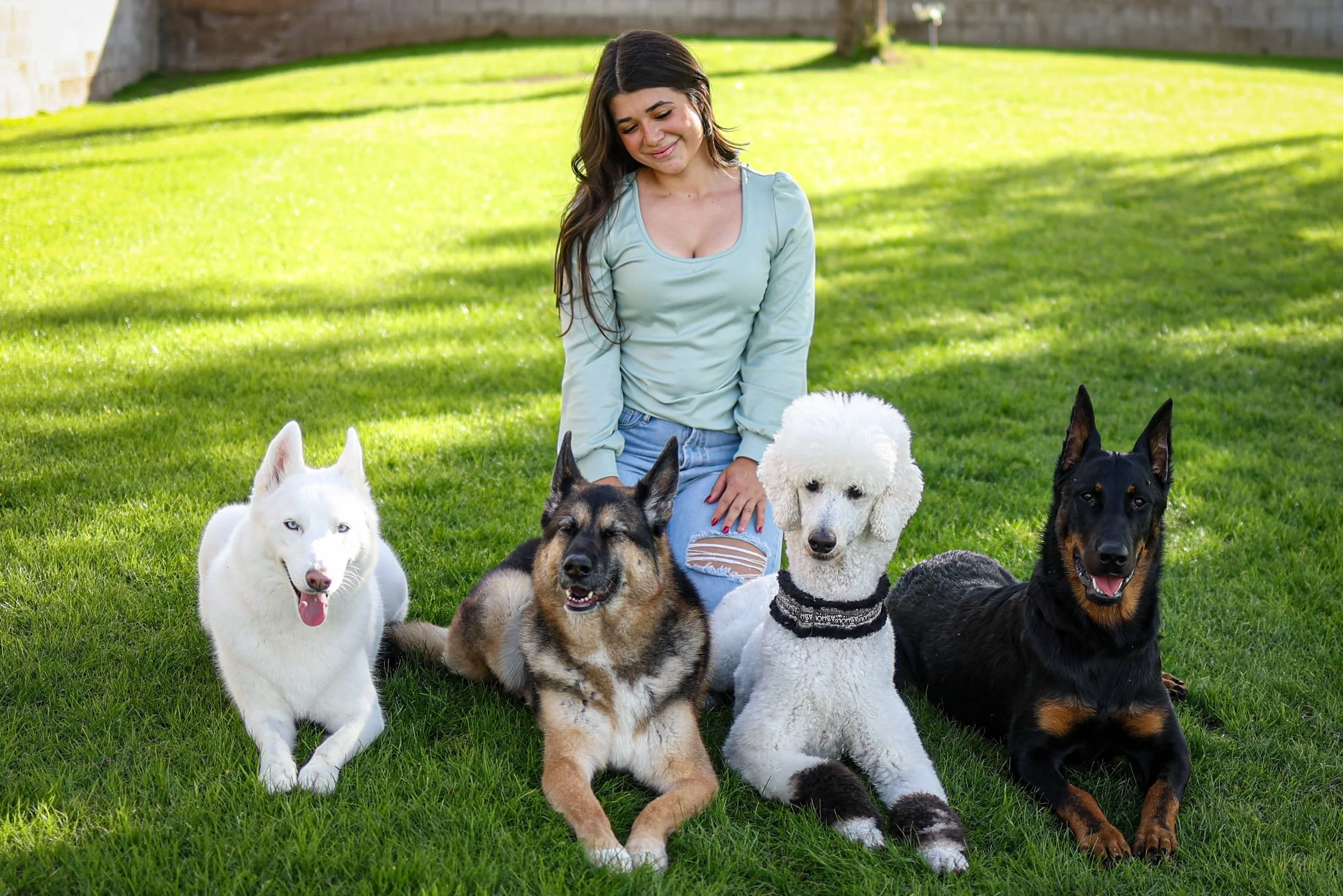 A woman kneeling on green grass, surrounded by four dogs: a white Siberian Husky, a German Shepherd mix, a white Poodle, and a black and tan Doberman. The woman is smiling and looking down at the dogs on a sunny day.