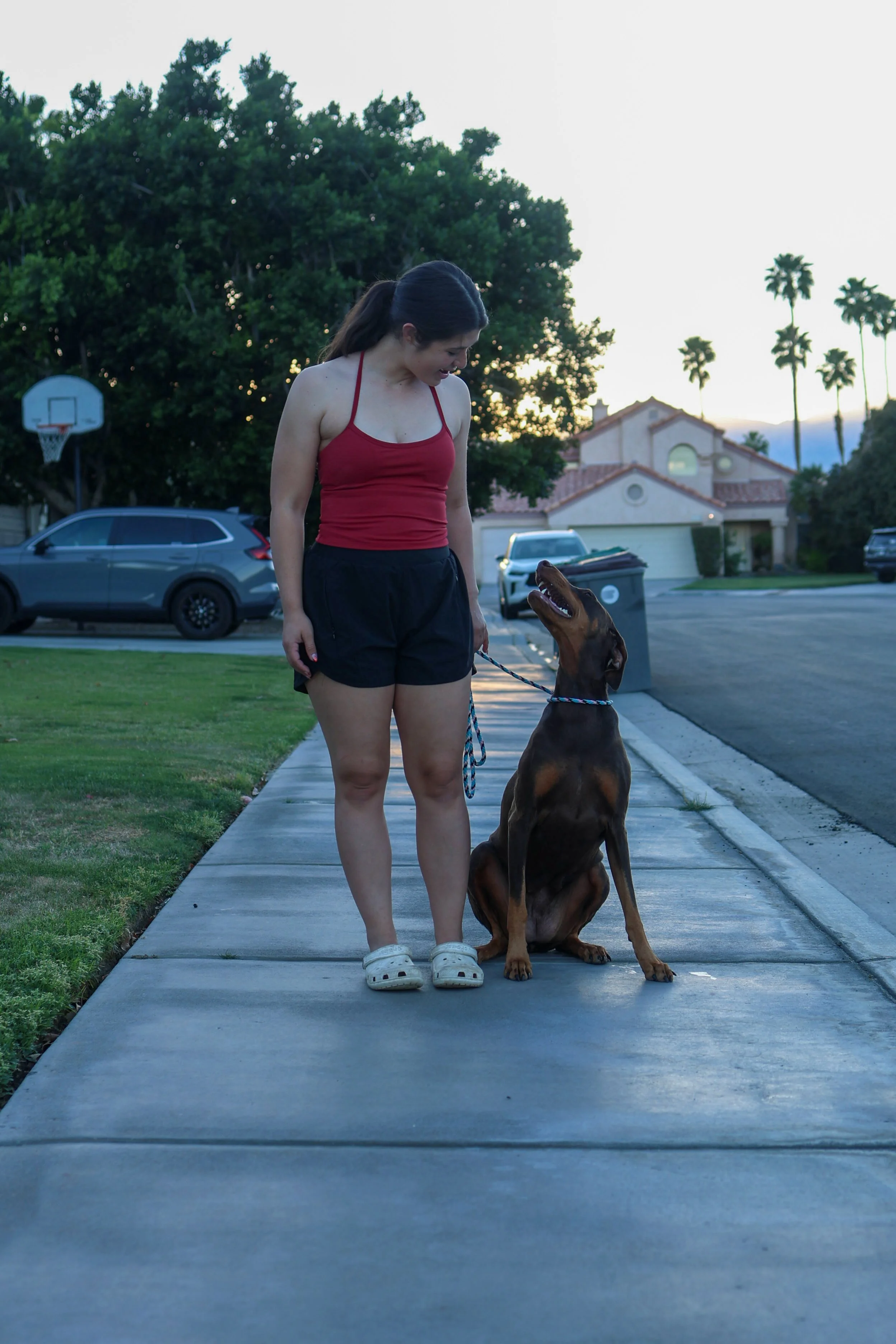 Leash Training with Doberman in La Quinta, CA