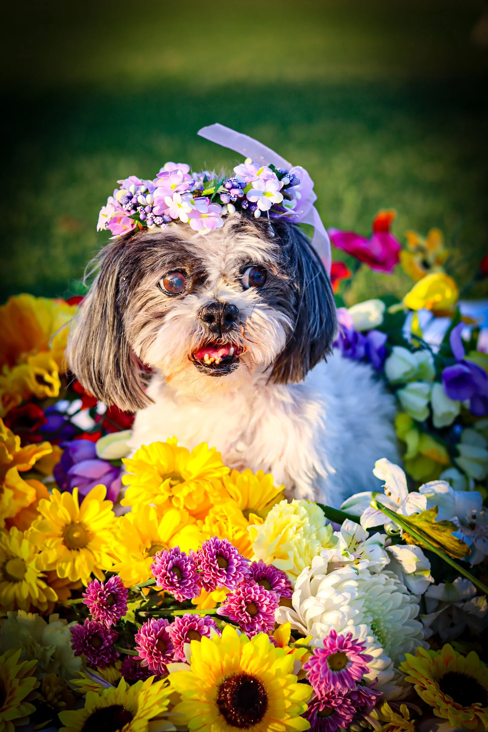 End of Life Photoshoot -La Quinta, CA