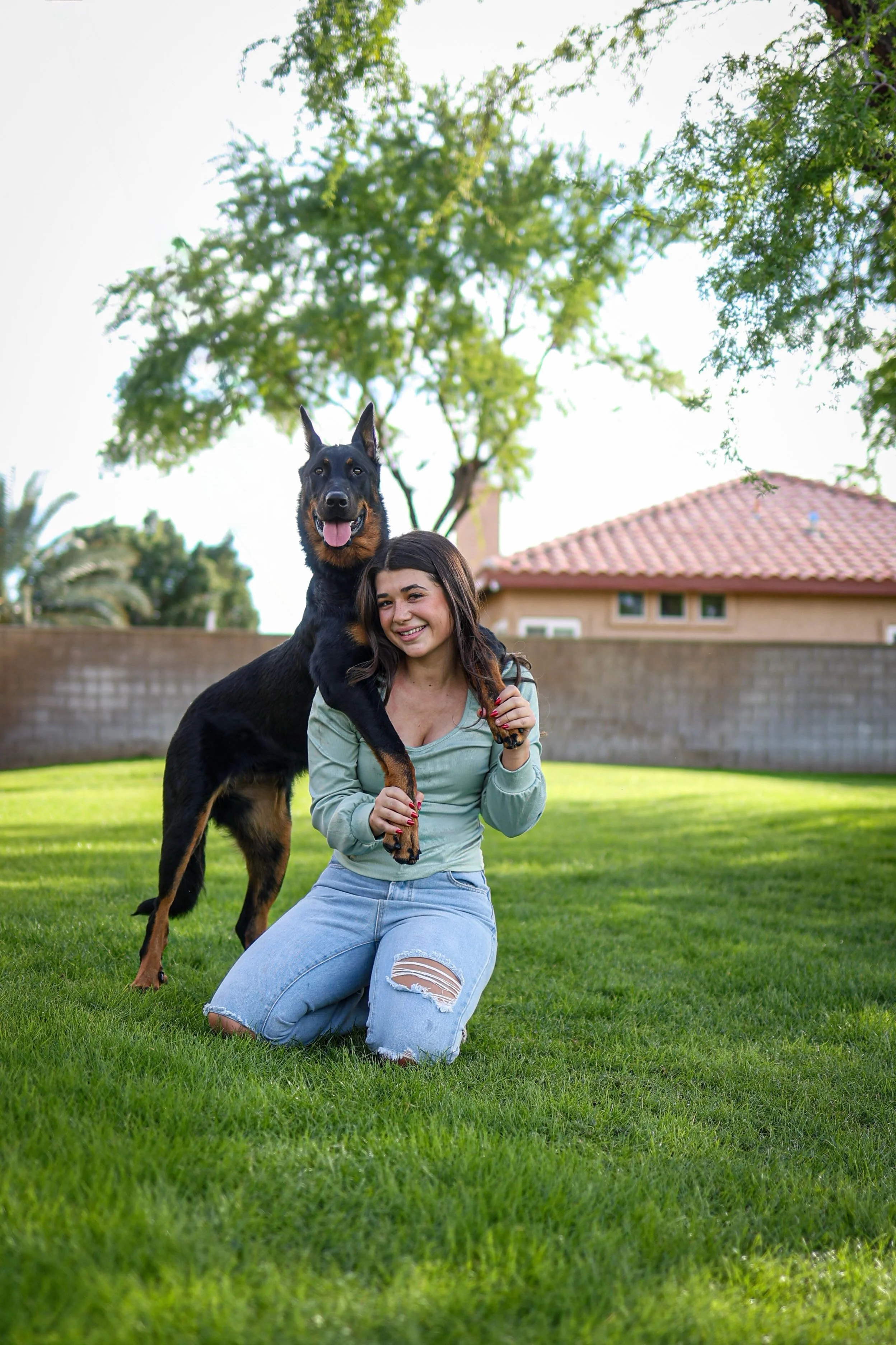 Fireheart the Beauceron in La Quinta, CA