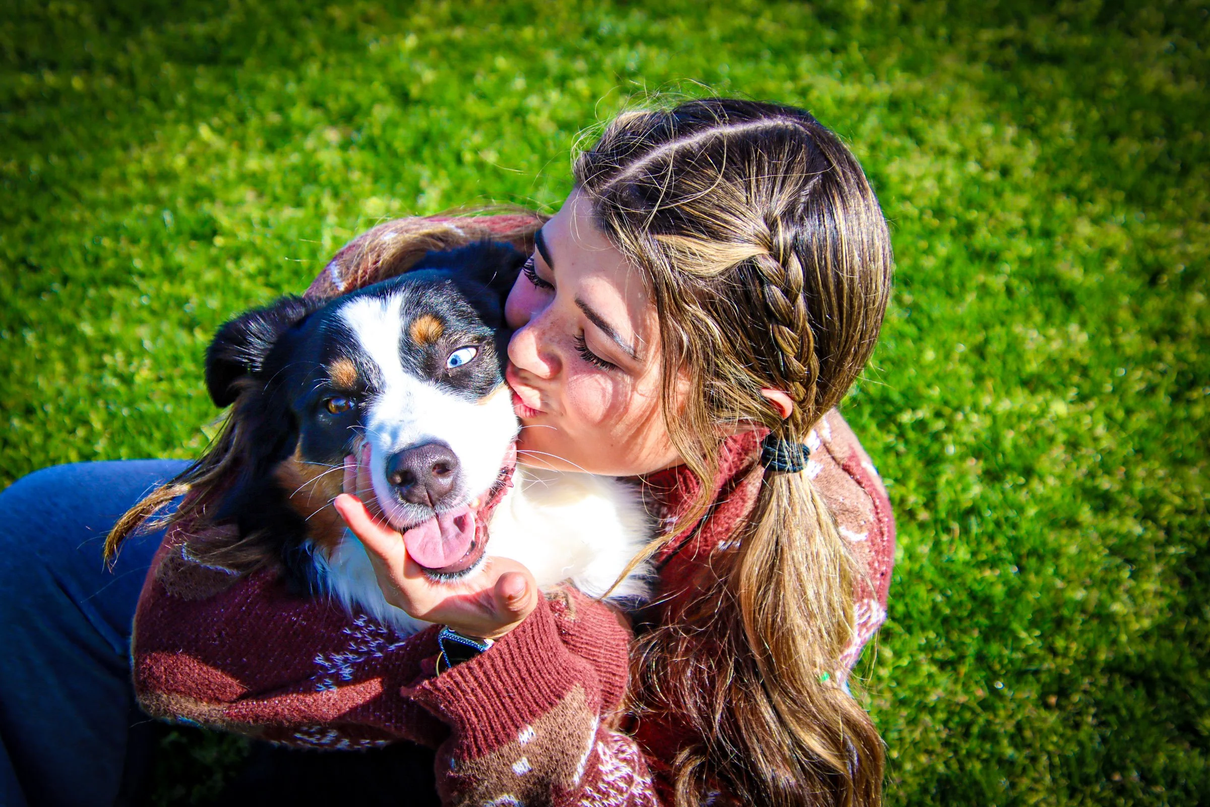 Young woman with long, wavy hair in a braid hugging and kissing an Australian Shepherd dog with heterochromatic eyes on a lush green grass field -Dog Overnight Boarding in La Quinta CA