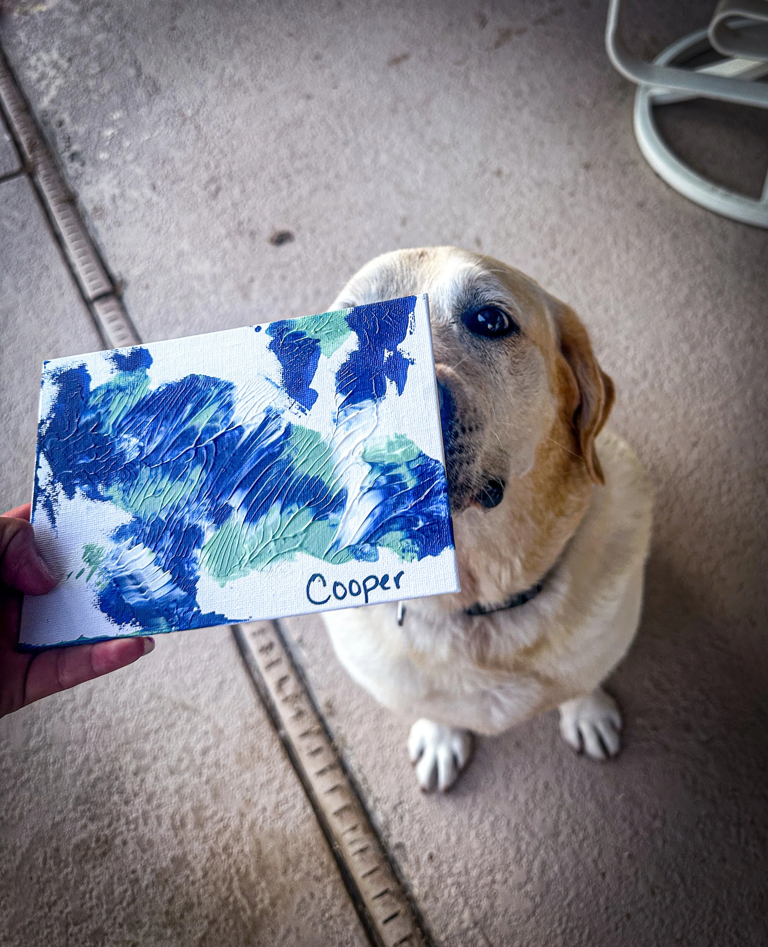 A golden retriever sitting on a concrete patio, looking up at a person holding an abstract painting with blue, green, and white colors. The painting has the name 'Cooper' written on it- Dog Board & Train in La Quinta CA