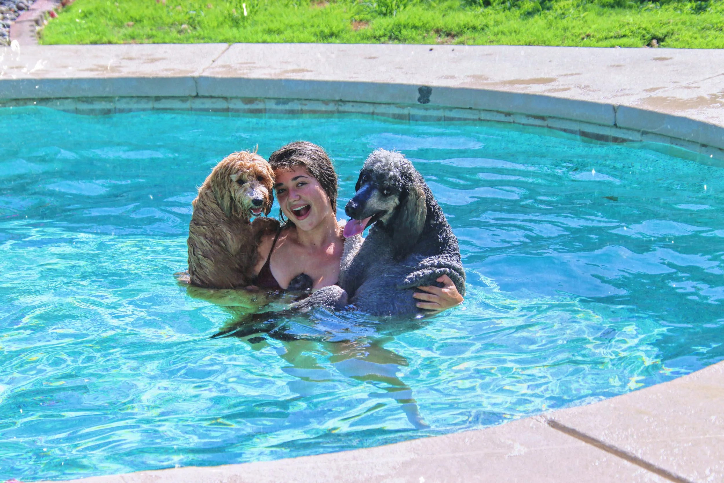 Dog Overnight Boarding in La Quinta CA - Pool Day