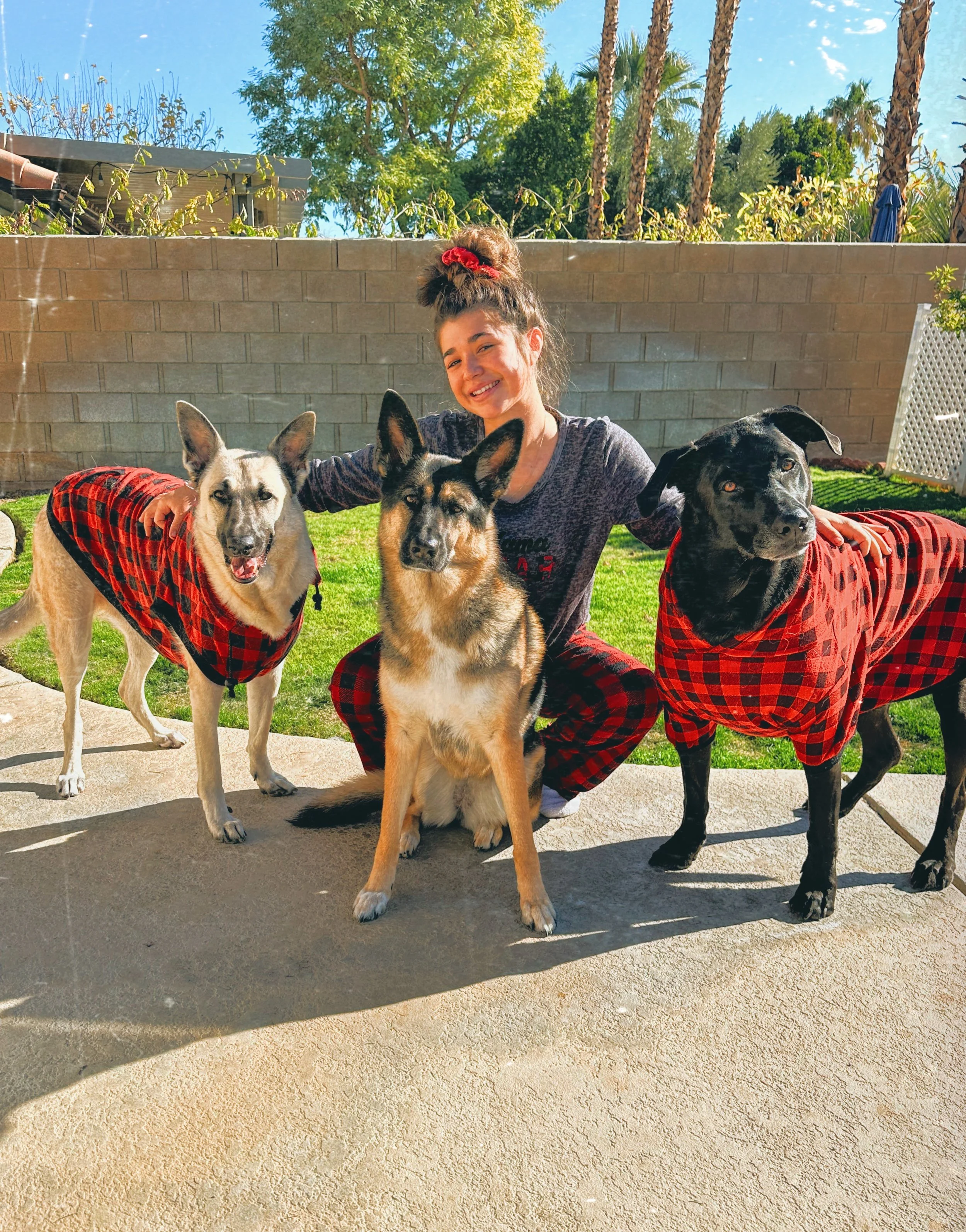 Dog Overnight Boarding in La Quinta CA