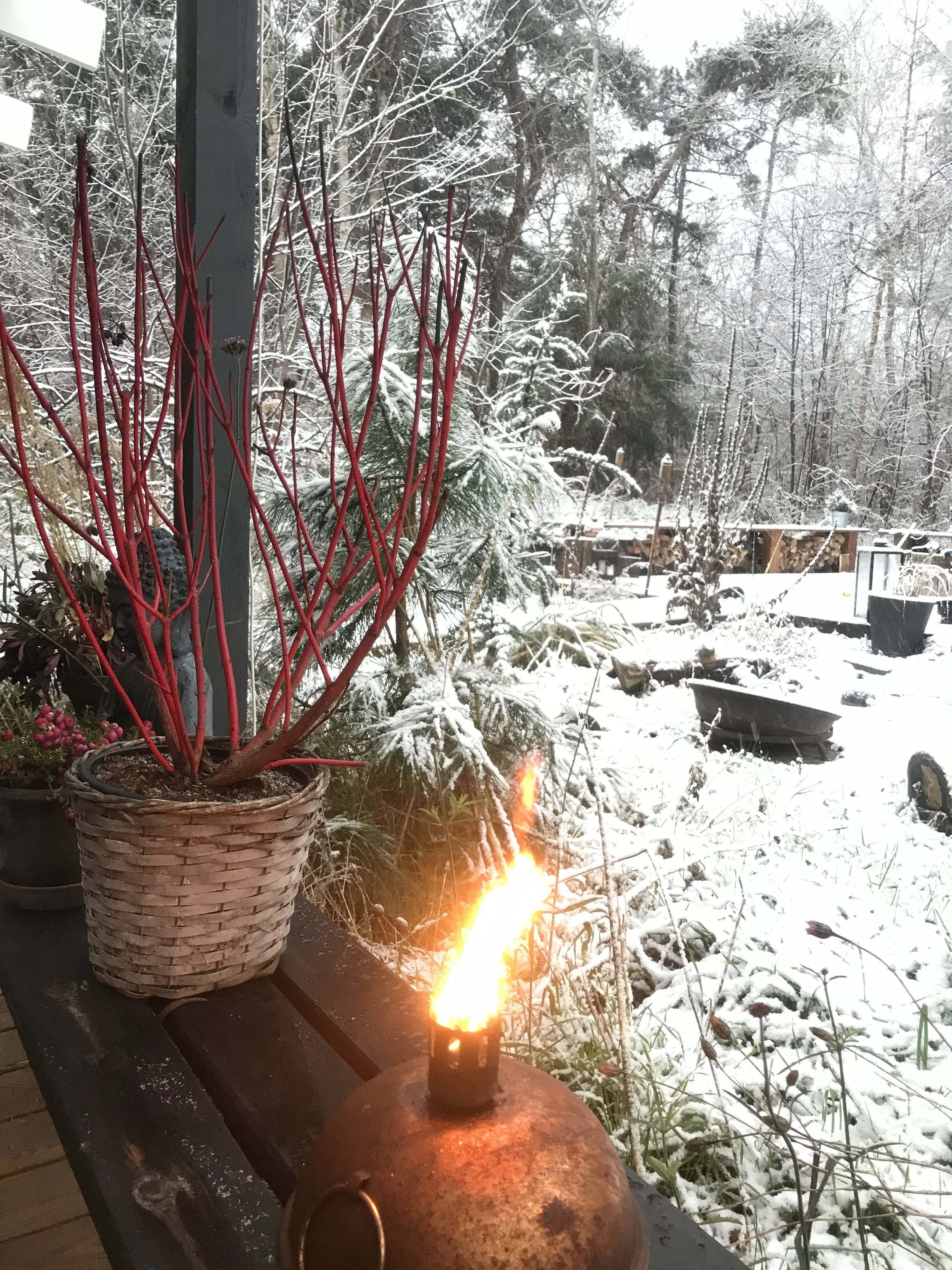 Fyrregaarden om vinteren til juleretreat