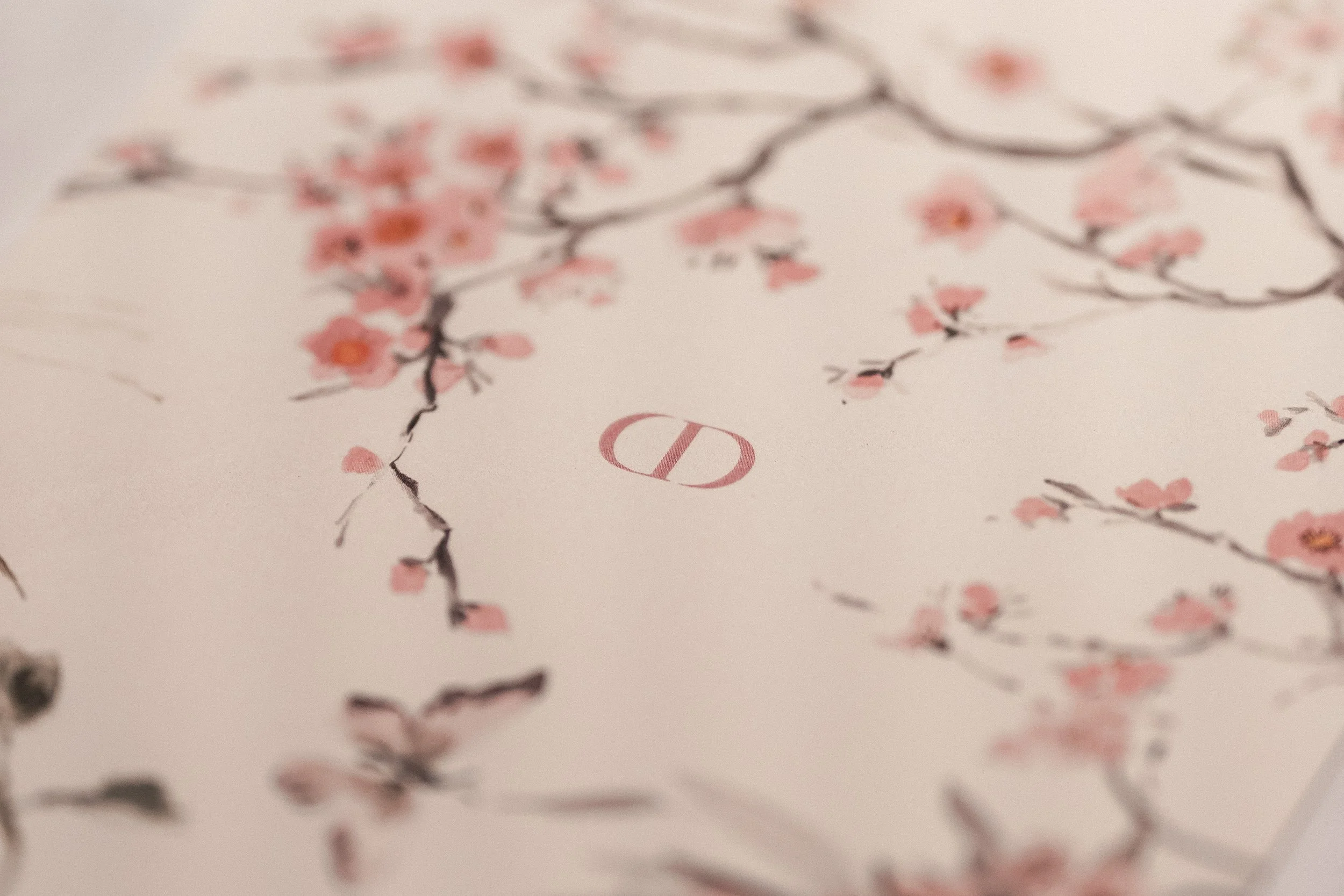 Dior 25' Kyoto Show  Lunch