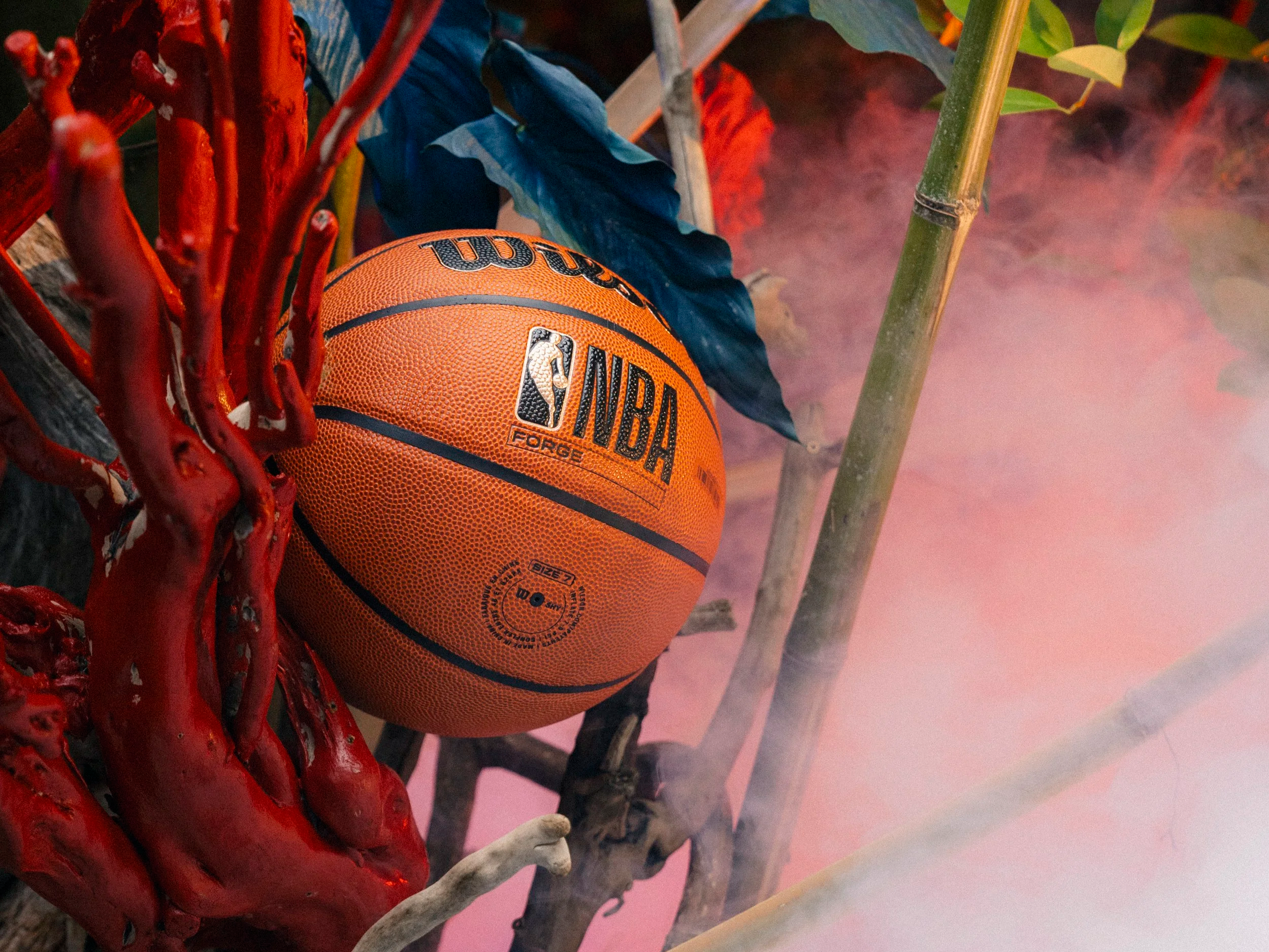 NBA X NJBA