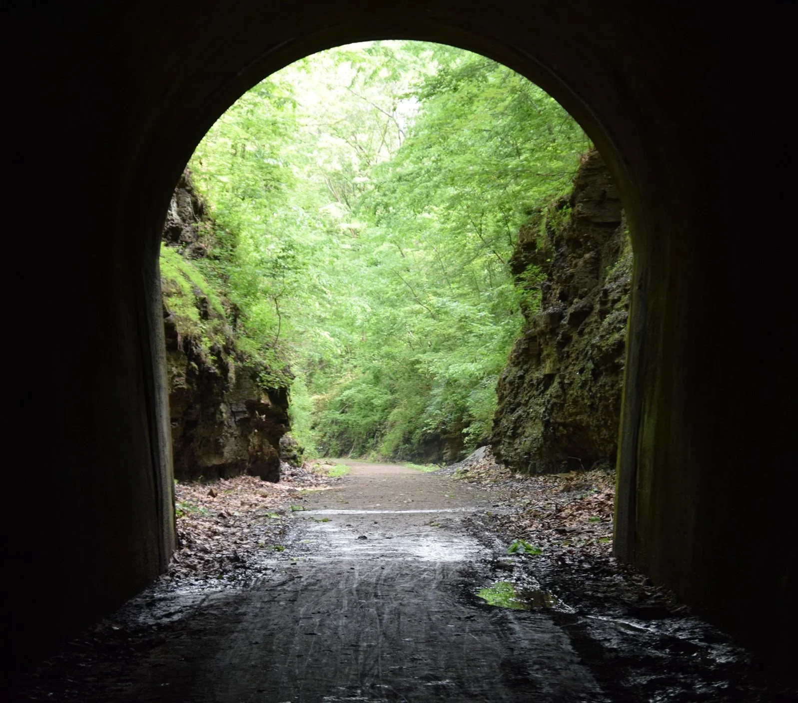 Living in the Mystery of God