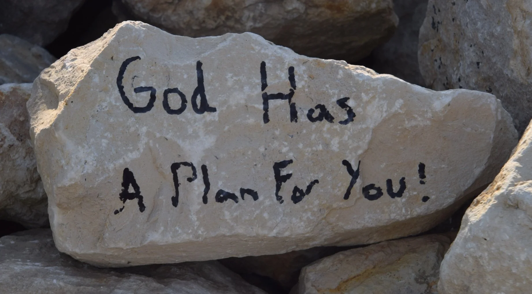 Does God Have a Plan for Your Life?