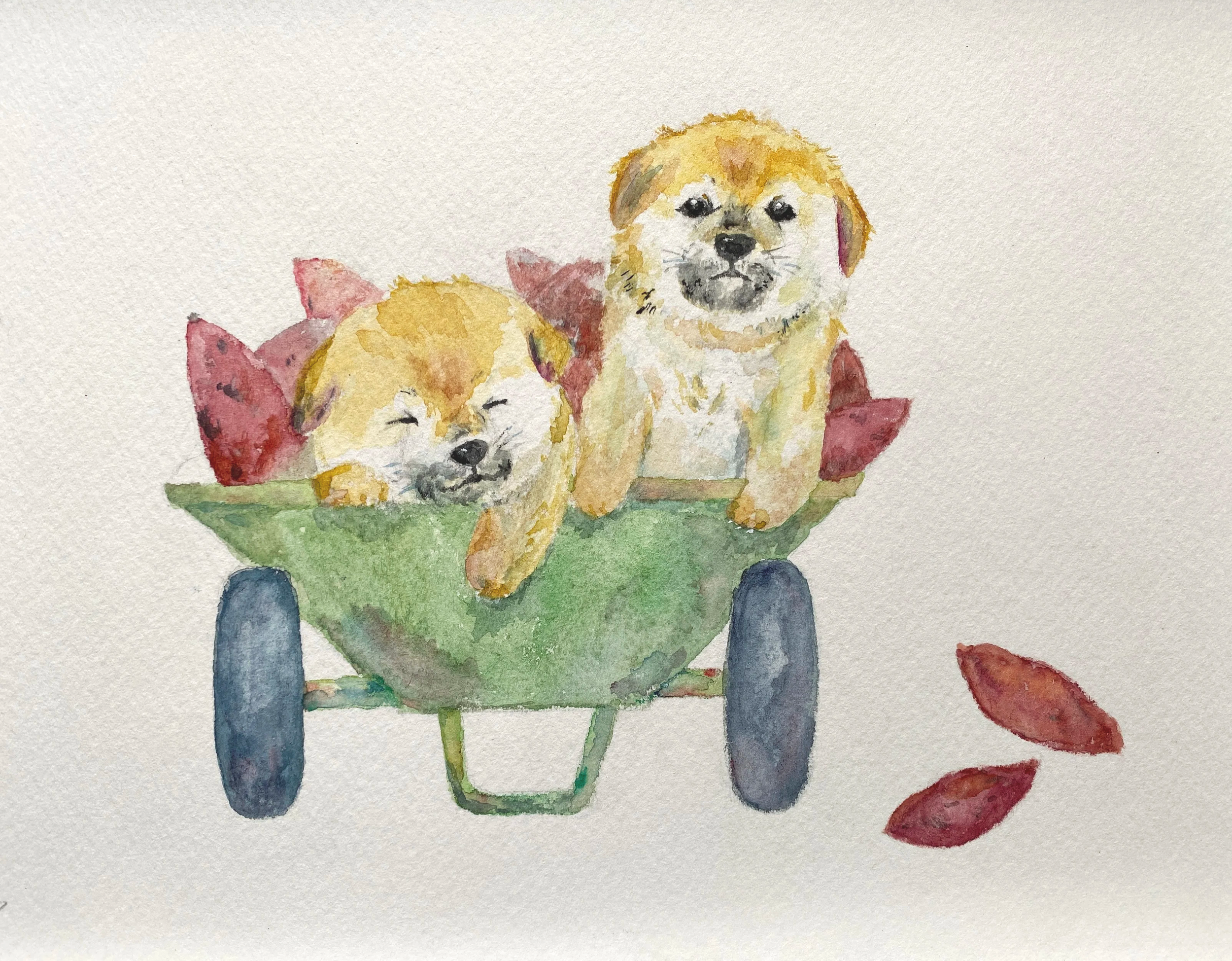 A Crowded Little Ride – Shiba Puppies and Sweet Potatoes