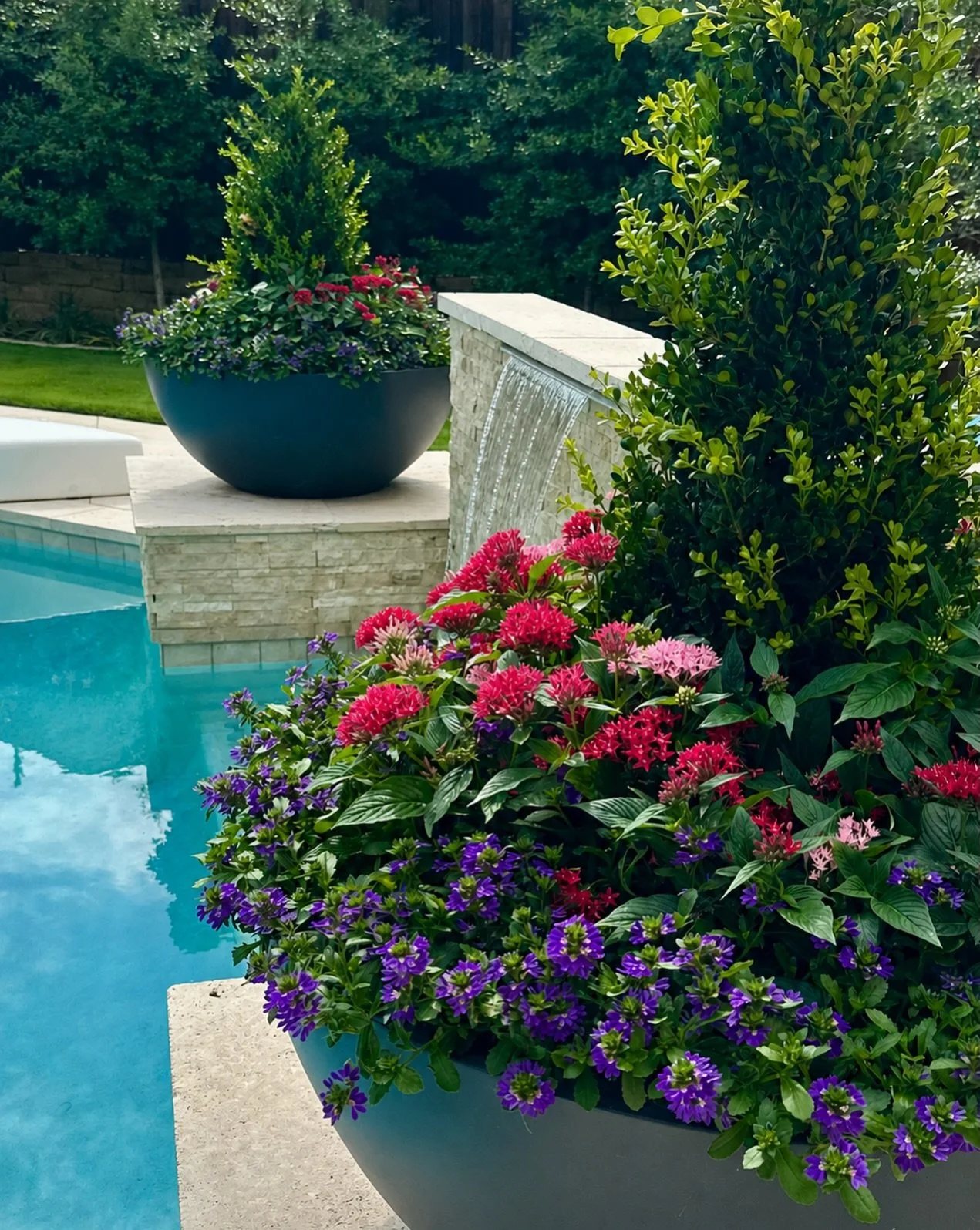 The heat has arrived in Dallas. Looking on the bright side - the color is really beginning to pop as a result of all the sunshine! Pentas and Scaevola showing off in this recently completed garden. ☀️🌺💦 #houcharddesign