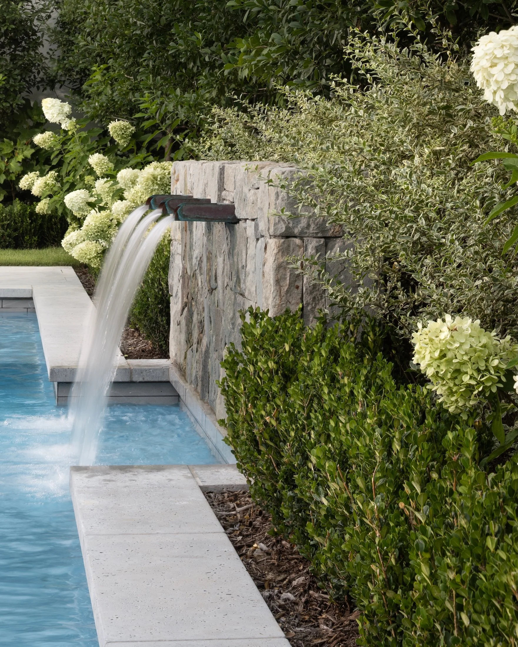 Water spouting from a stone fountain in a garden with green bushes and white hydrangea flowers.