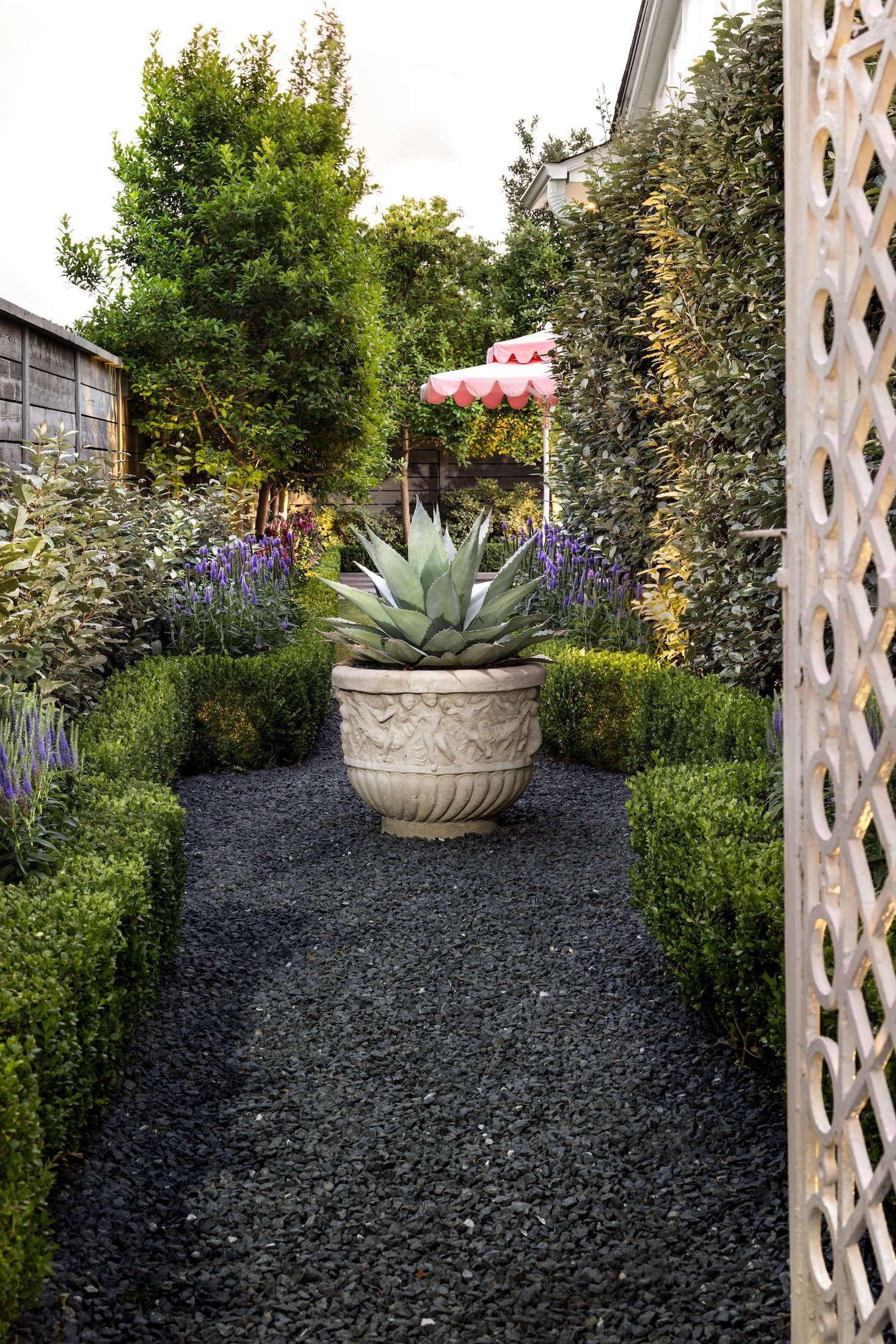 A garden pathway with black gravel, lined with neatly trimmed green bushes and purple flowers. A large potted succulent is in the center. There are trees and a pink-striped patio umbrella in the background. White lattice framing the right edge of the image.