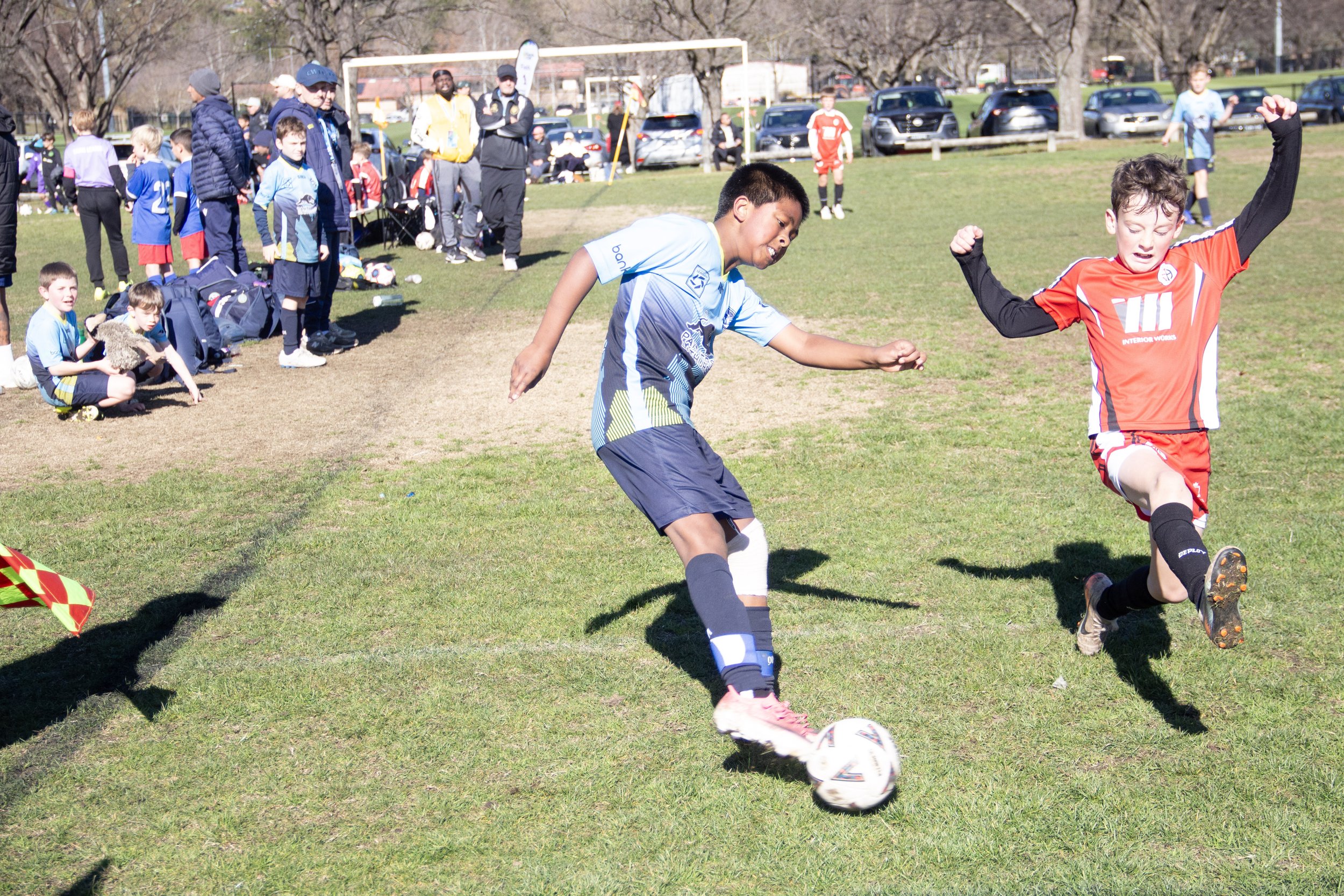 219-IMG_8242.jpg