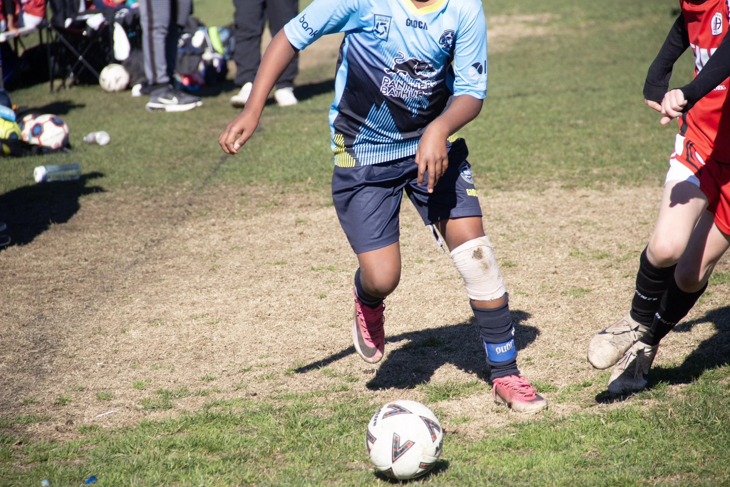 220-IMG_8240.jpg