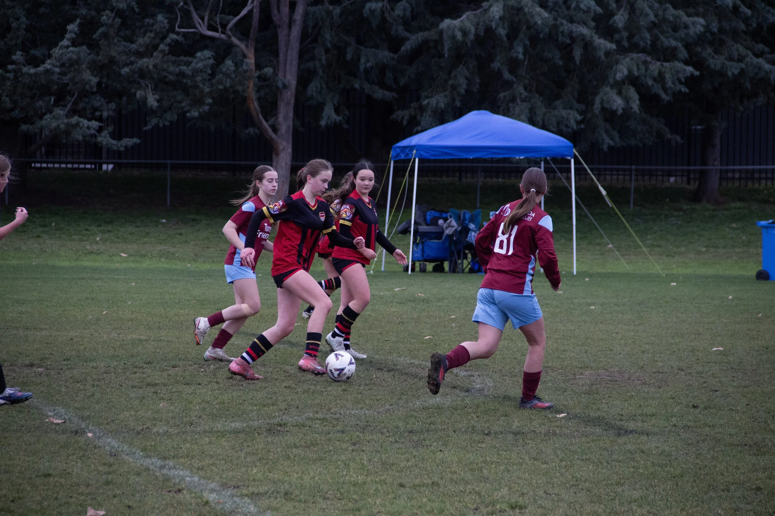 145-IMG_7036.jpg