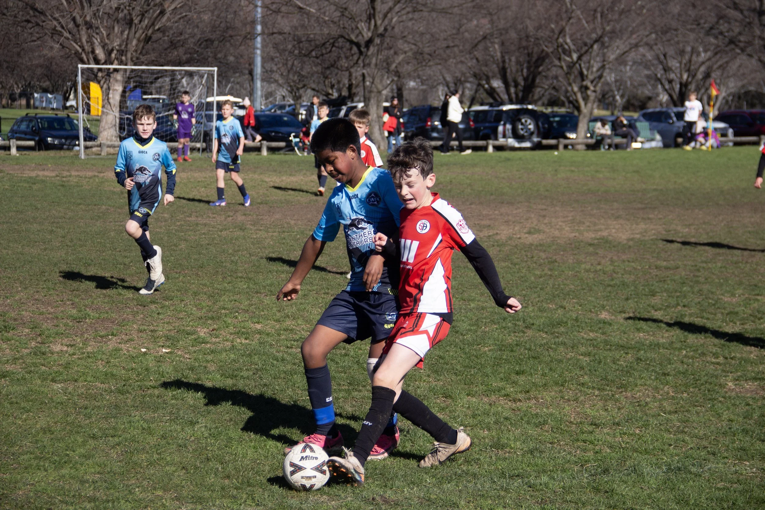 194-IMG_8311.jpg