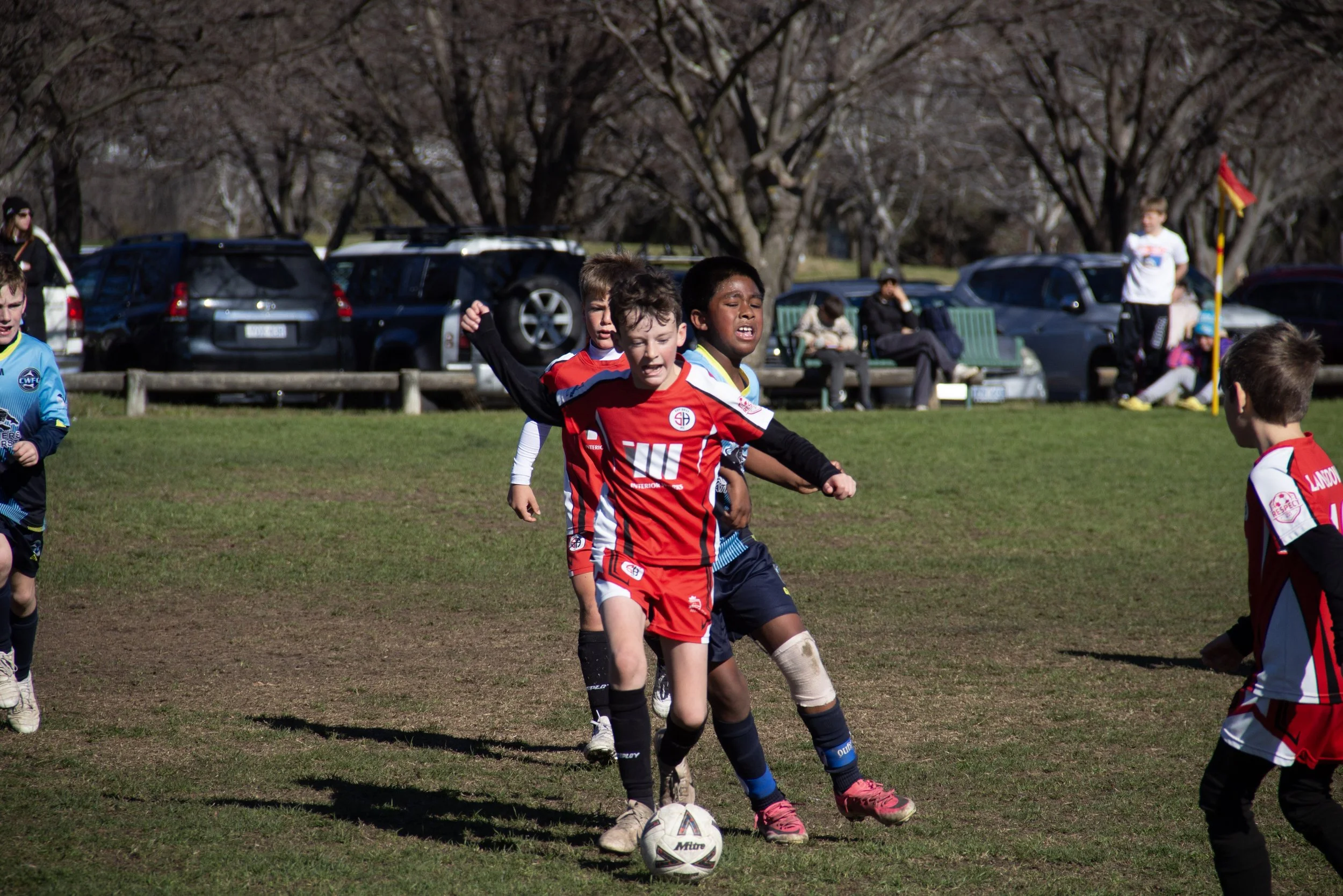 195-IMG_8309.jpg