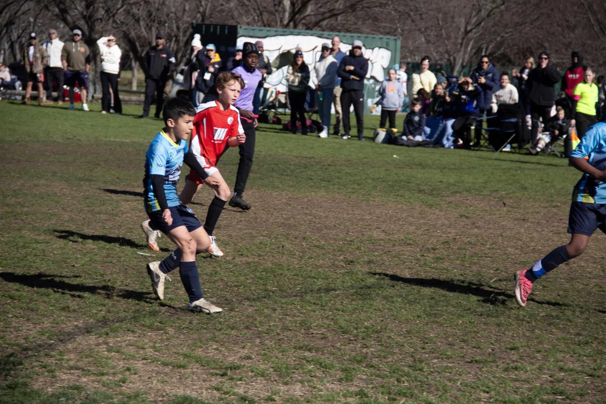 187-IMG_8329.jpg