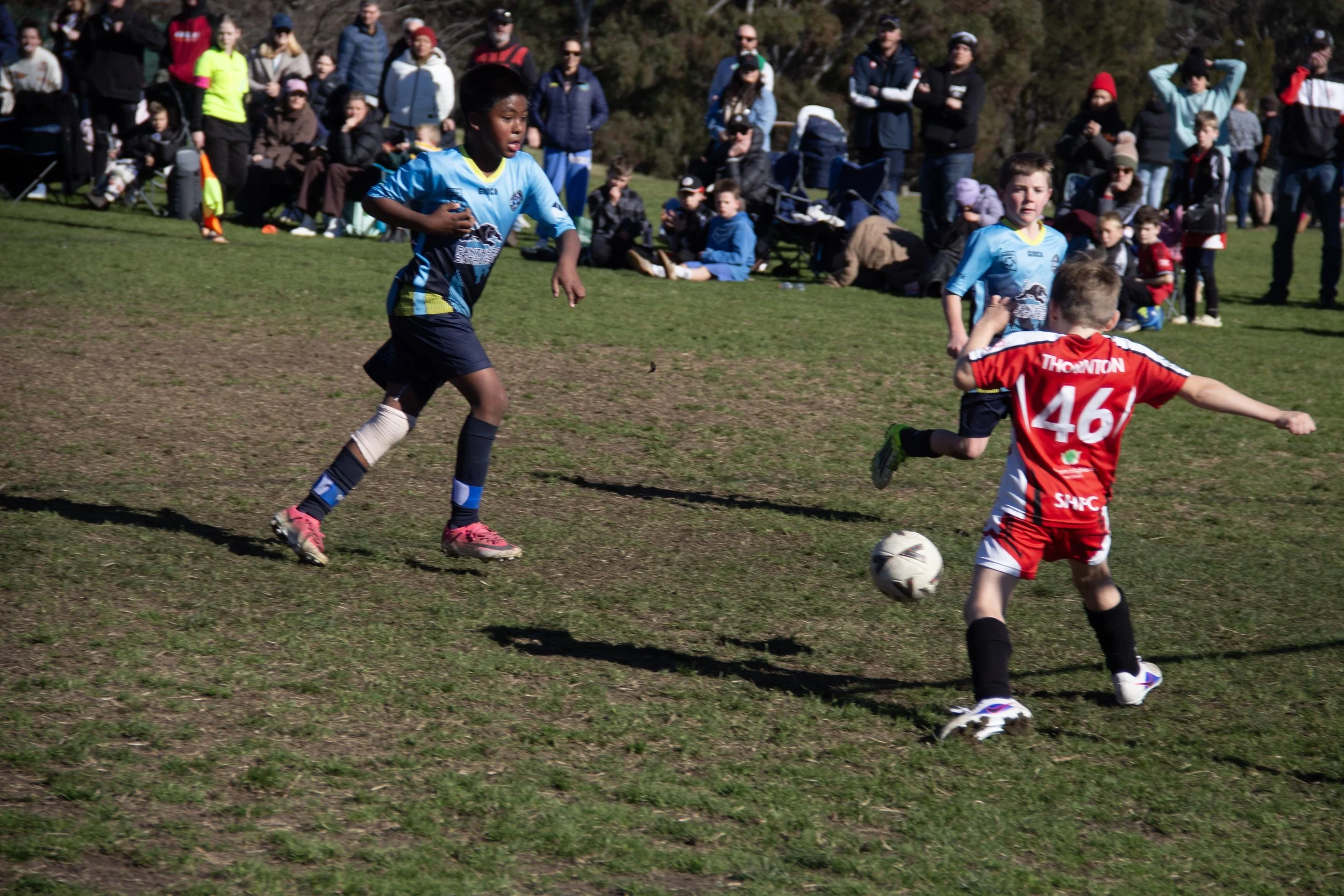 186-IMG_8330.jpg