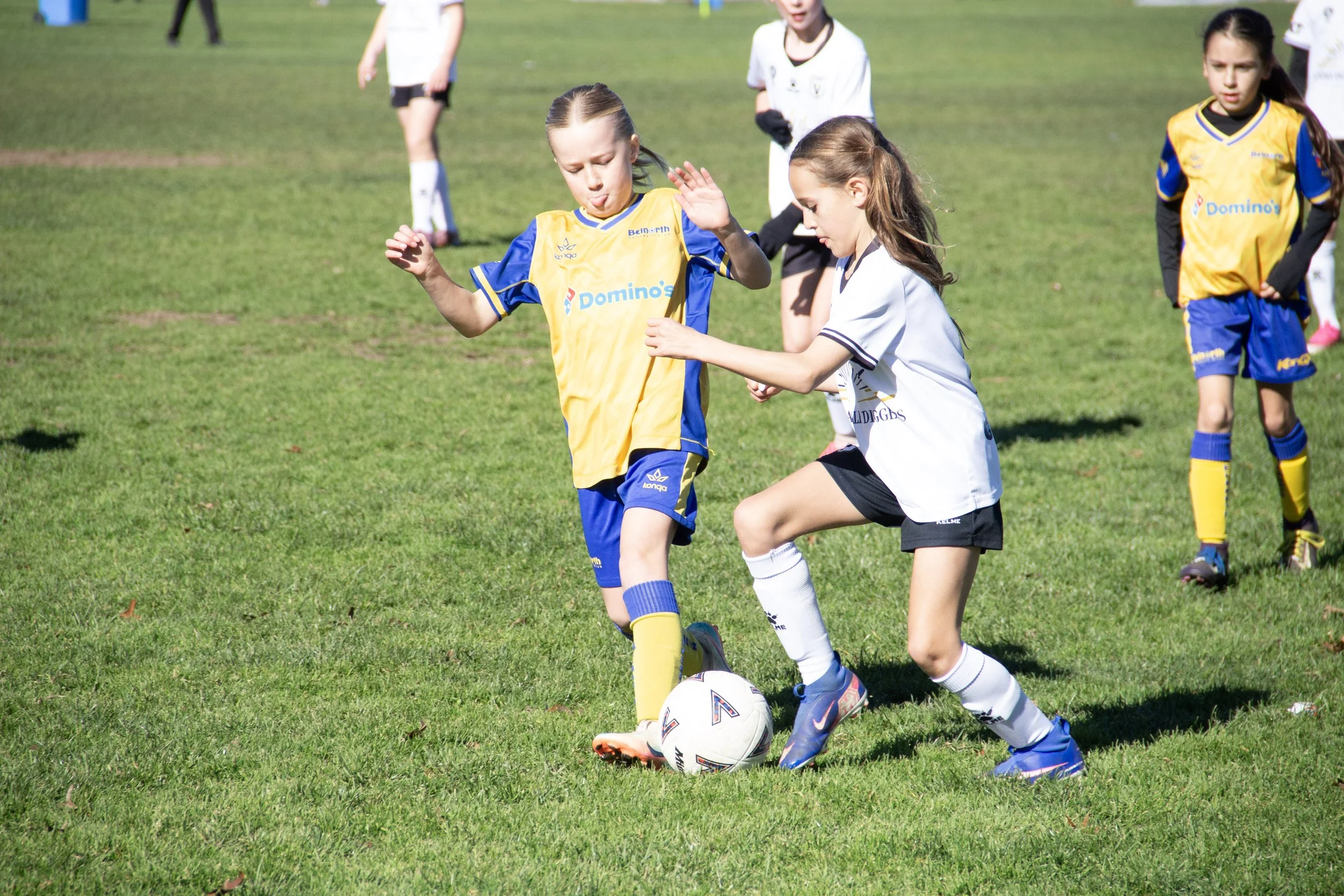 172-IMG_8358.jpg