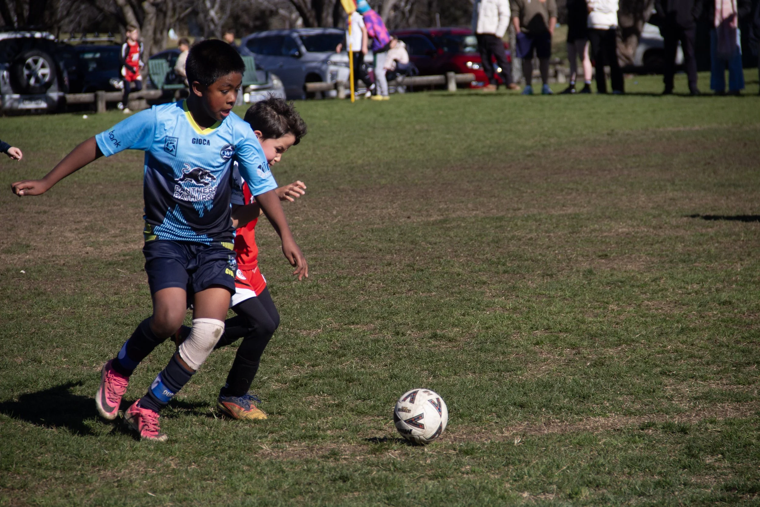 182-IMG_8336.jpg