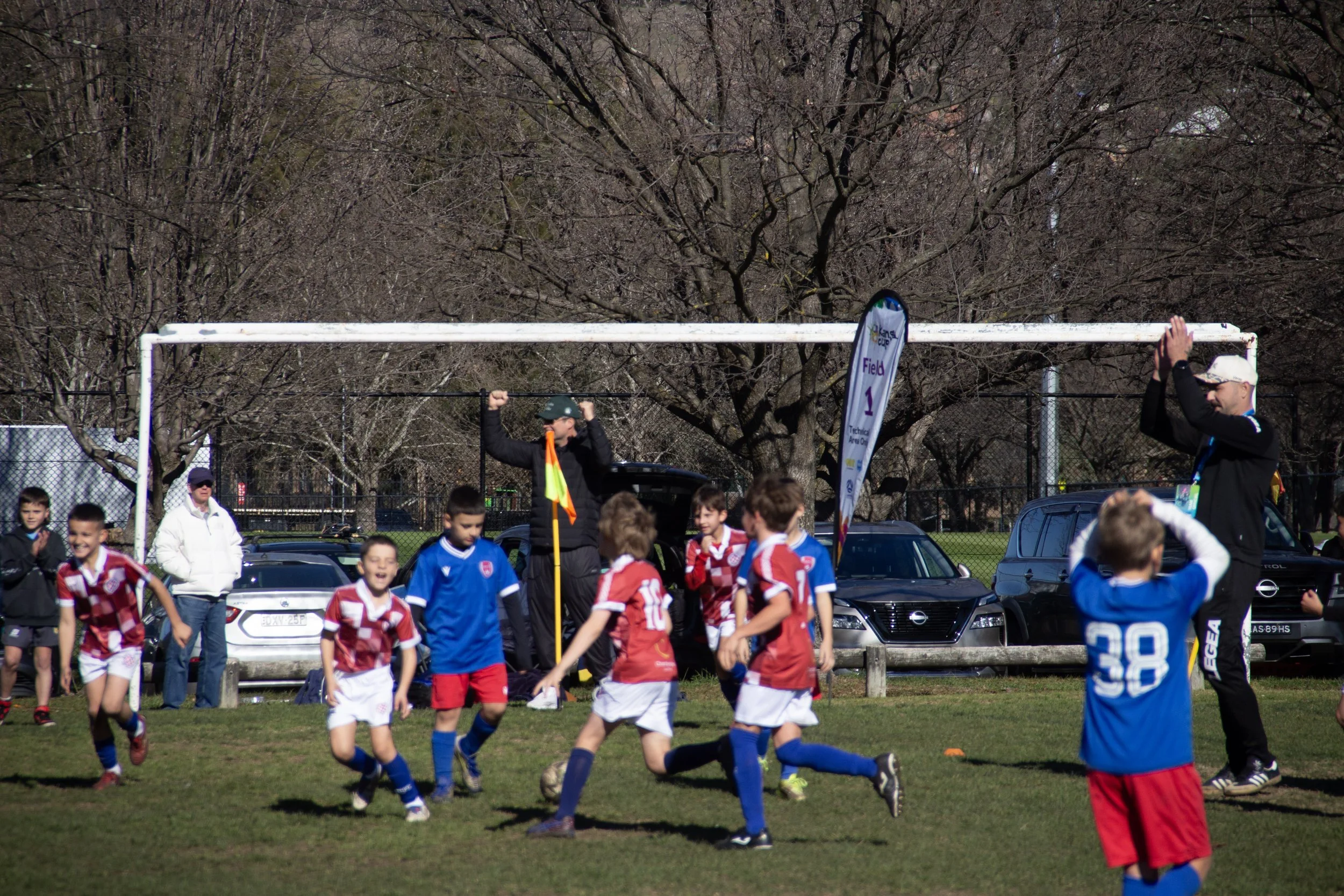 181-IMG_8339.jpg